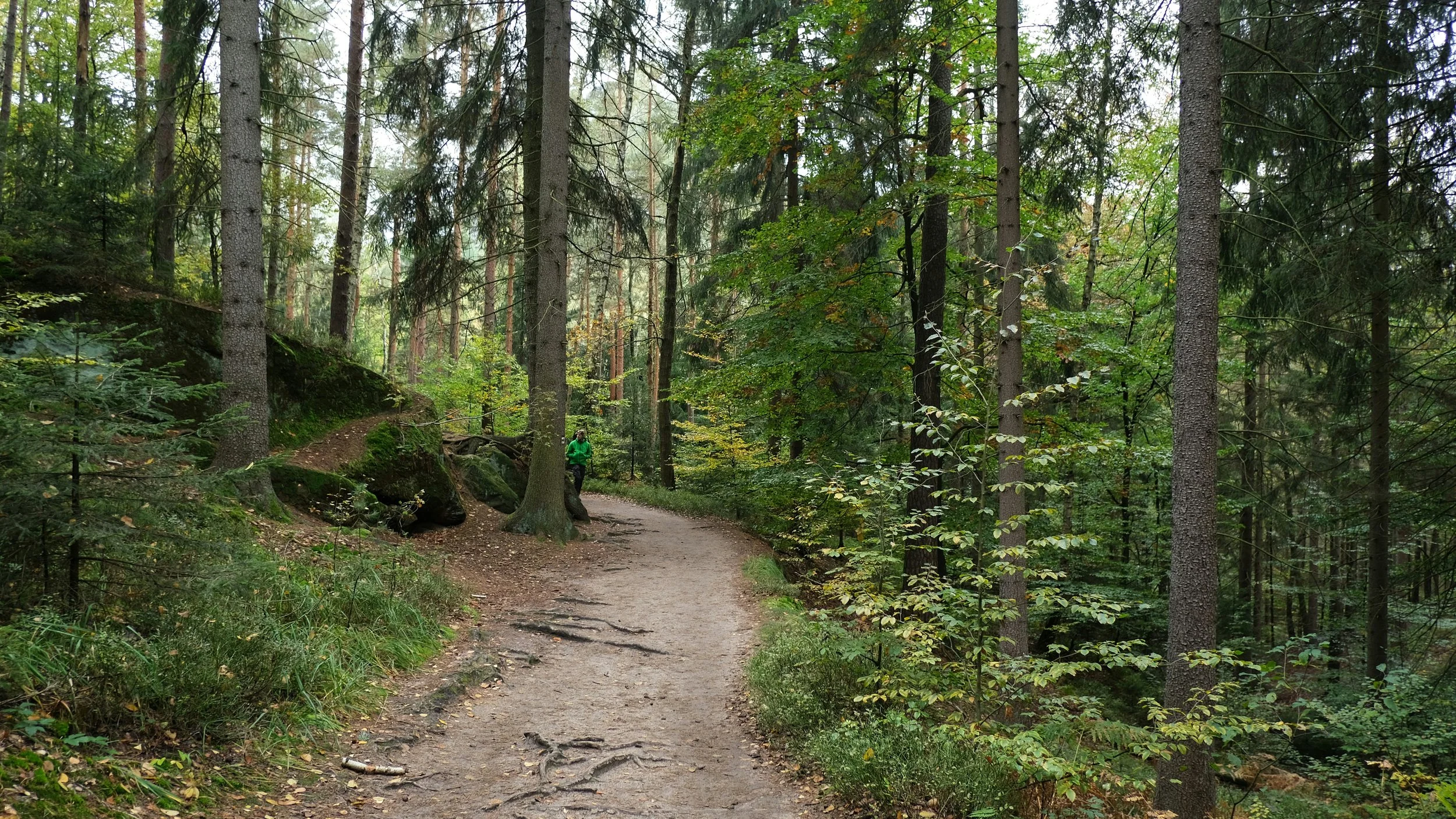 Wanderung in der Pfalz bei Neustadt/Weinstraße mit Stadtführung