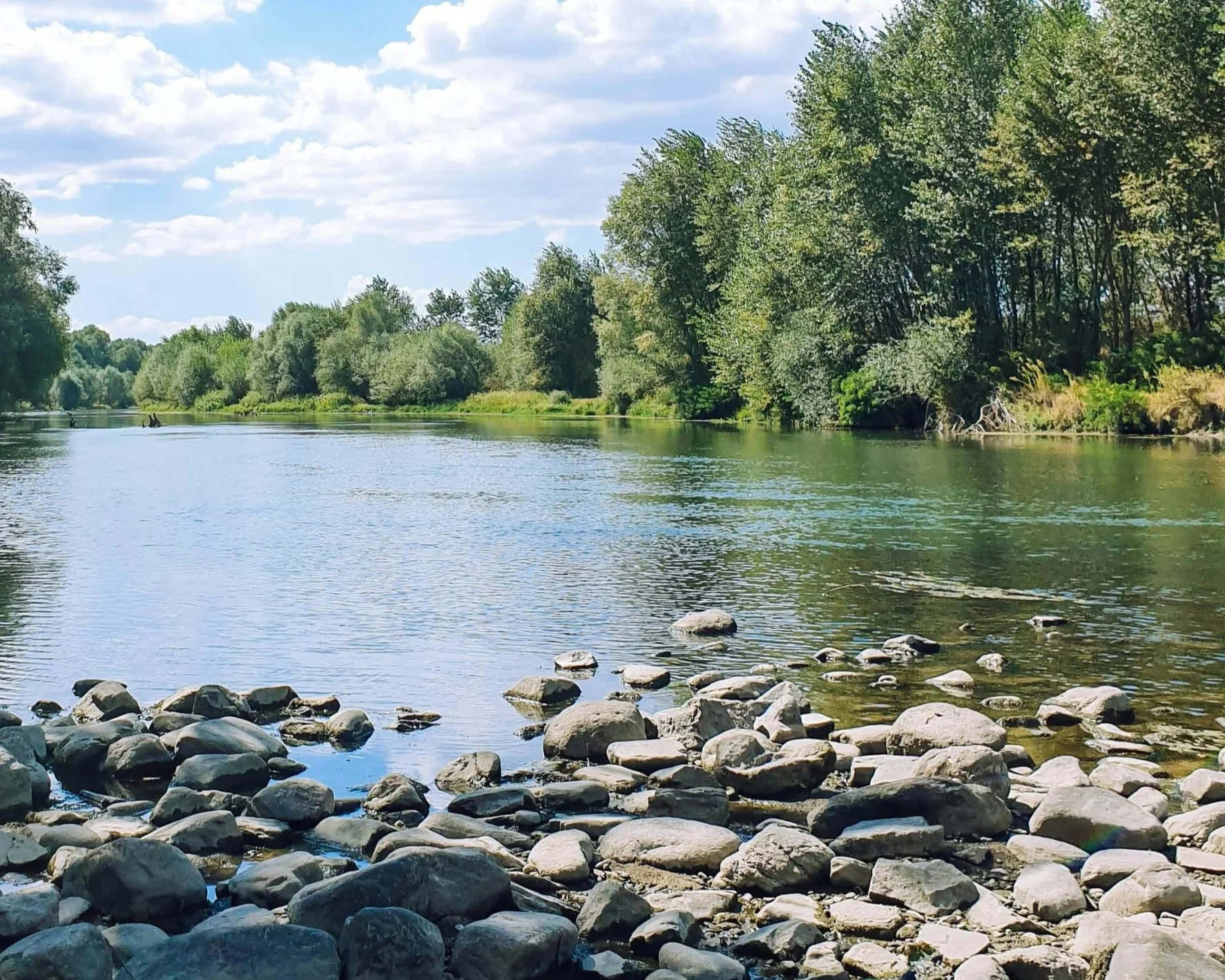 Unter nordischen Gänsen und Seeadlern im Wendland