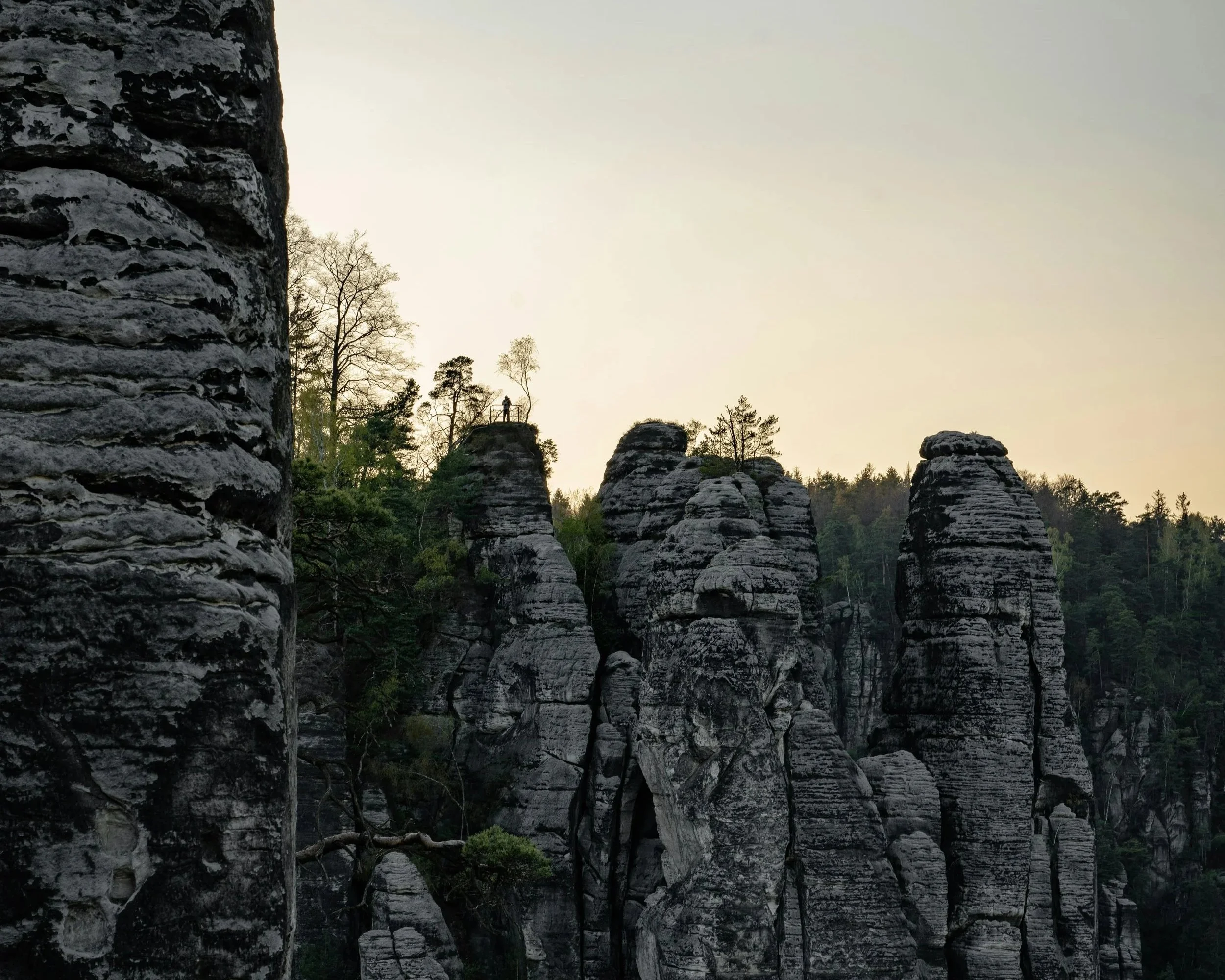 Geologisch-naturkundliche Wanderung: "Wanderer über dem Nebelmeer"