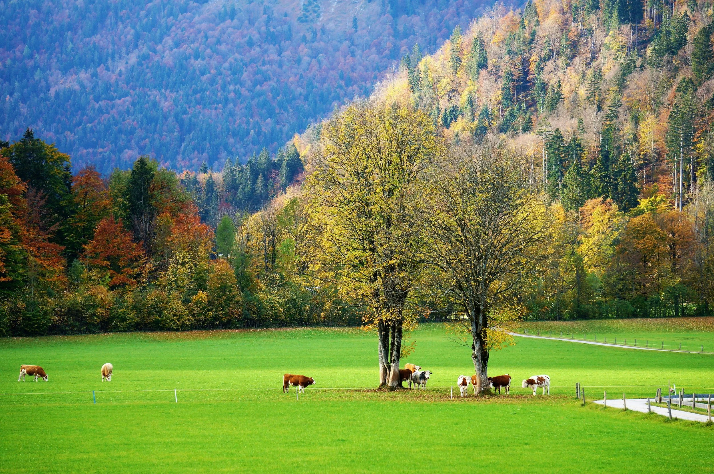 Hannah Arendt erwandern im Markgräfler Land