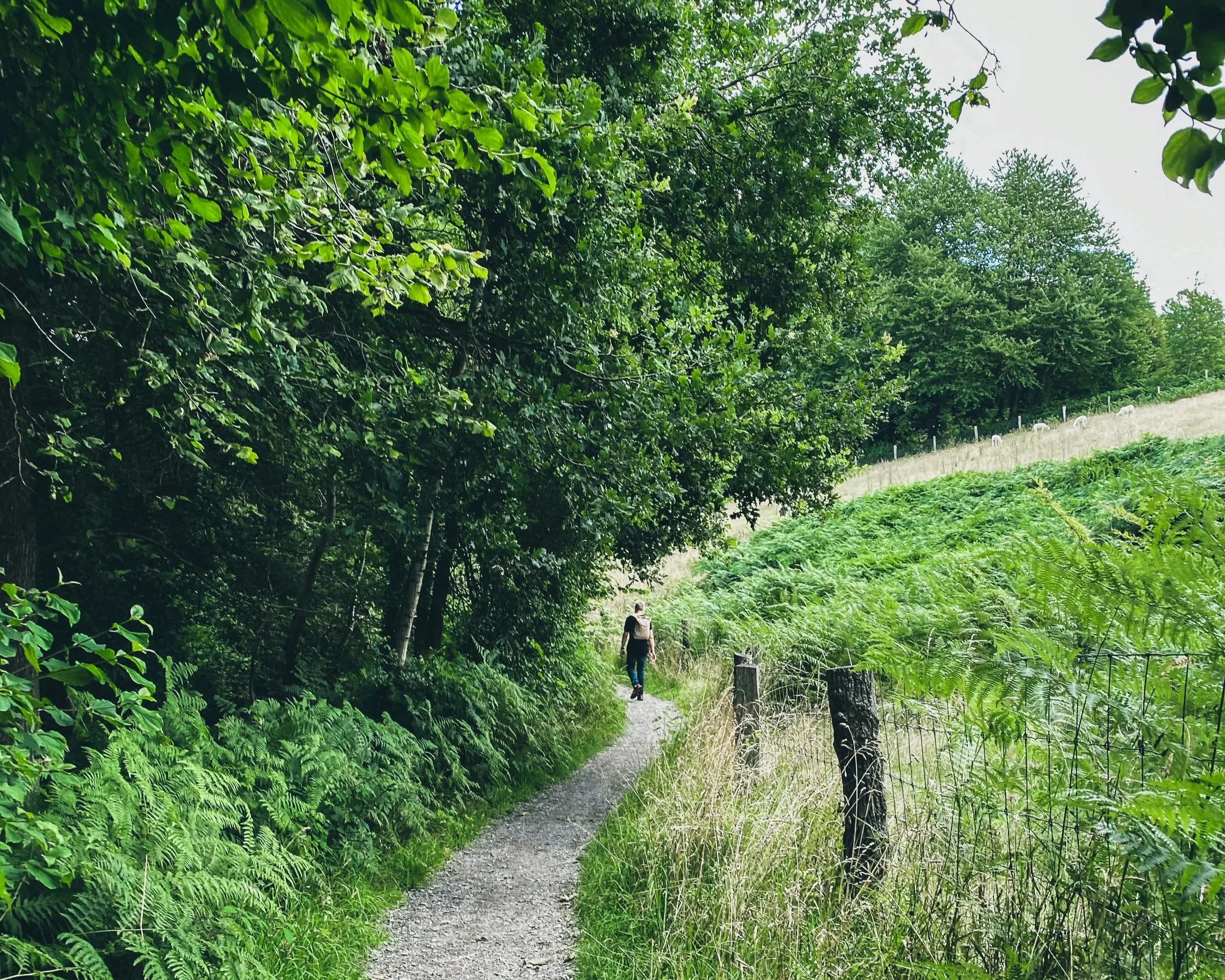 Wanderung in Bensheim-Auerbach/Bergstraße, Auerbacher Schloss und Fürstenlager mit Führung