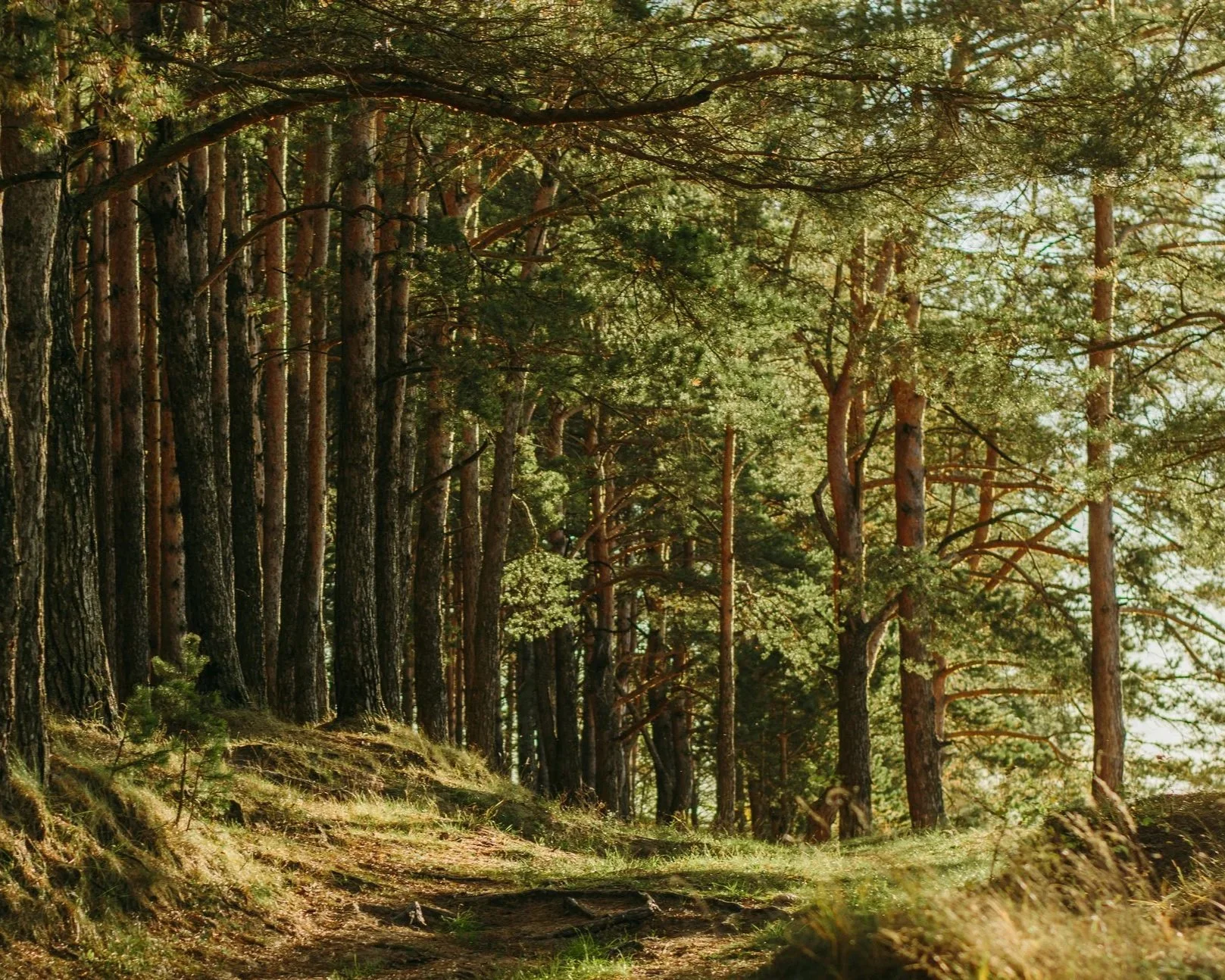 Mai-Wanderung rund im Teutoburger Wald 