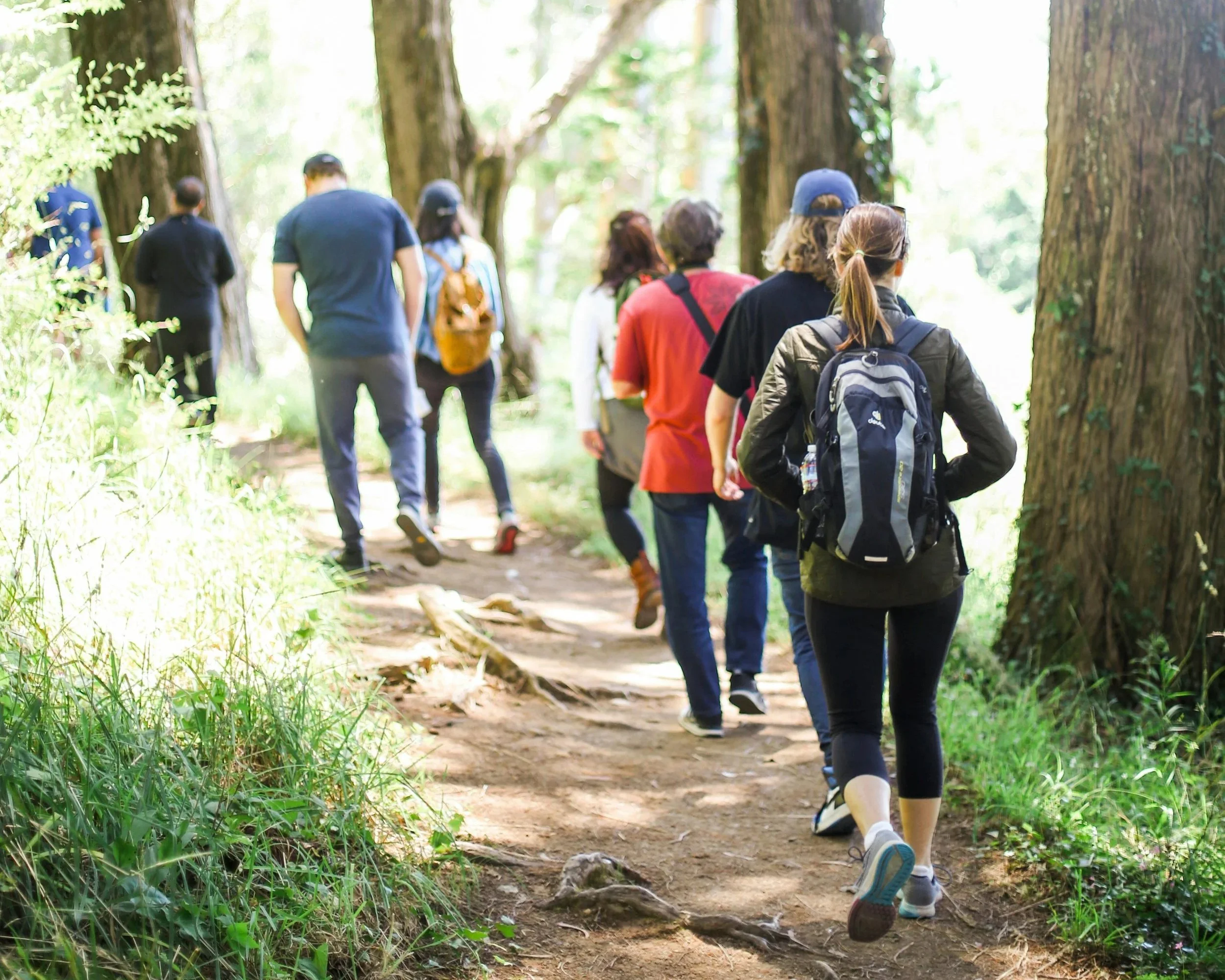 Hannah Arendt erwandern im Markgräfler Land
