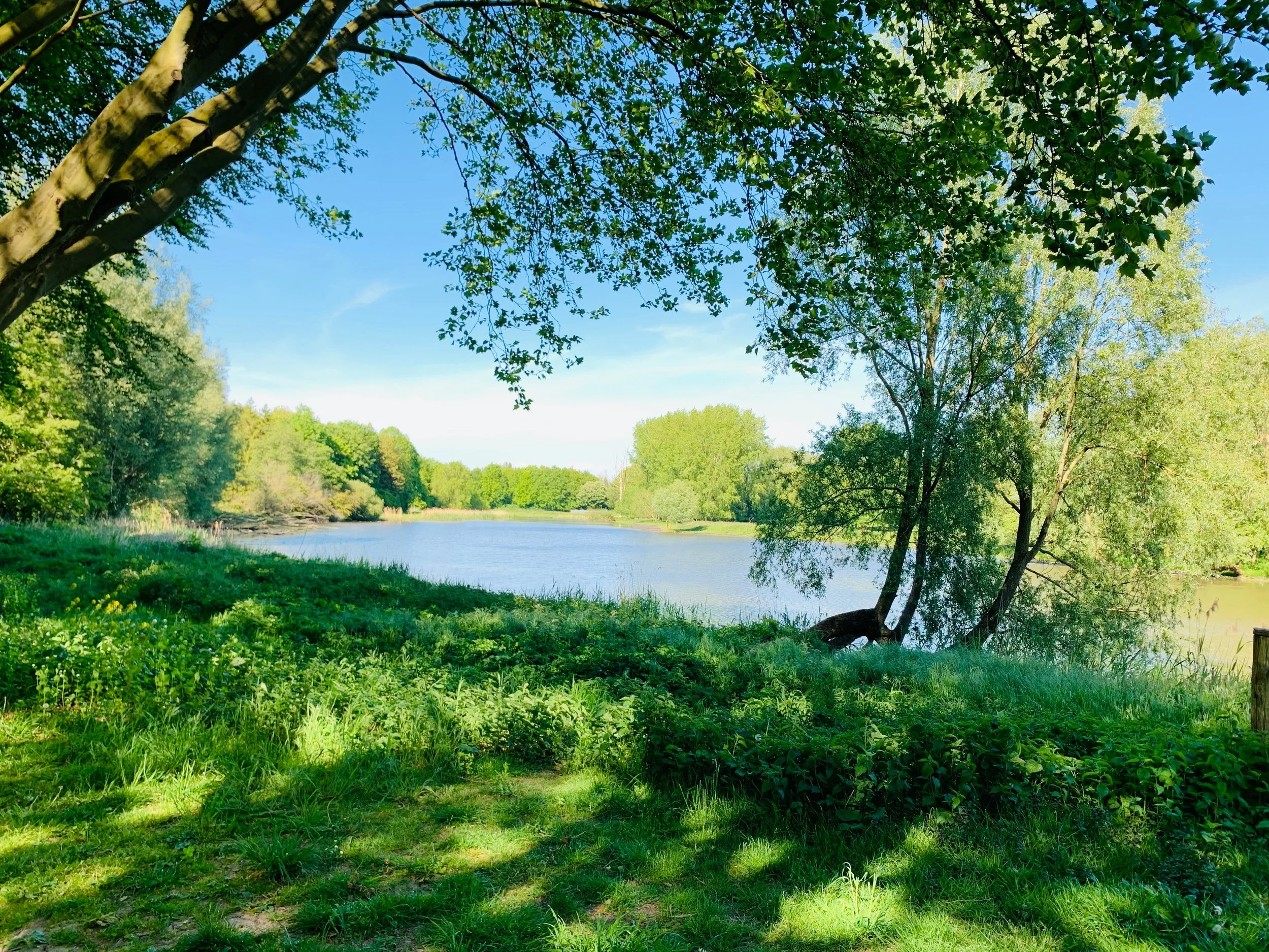 Wanderung Hoenderloo 