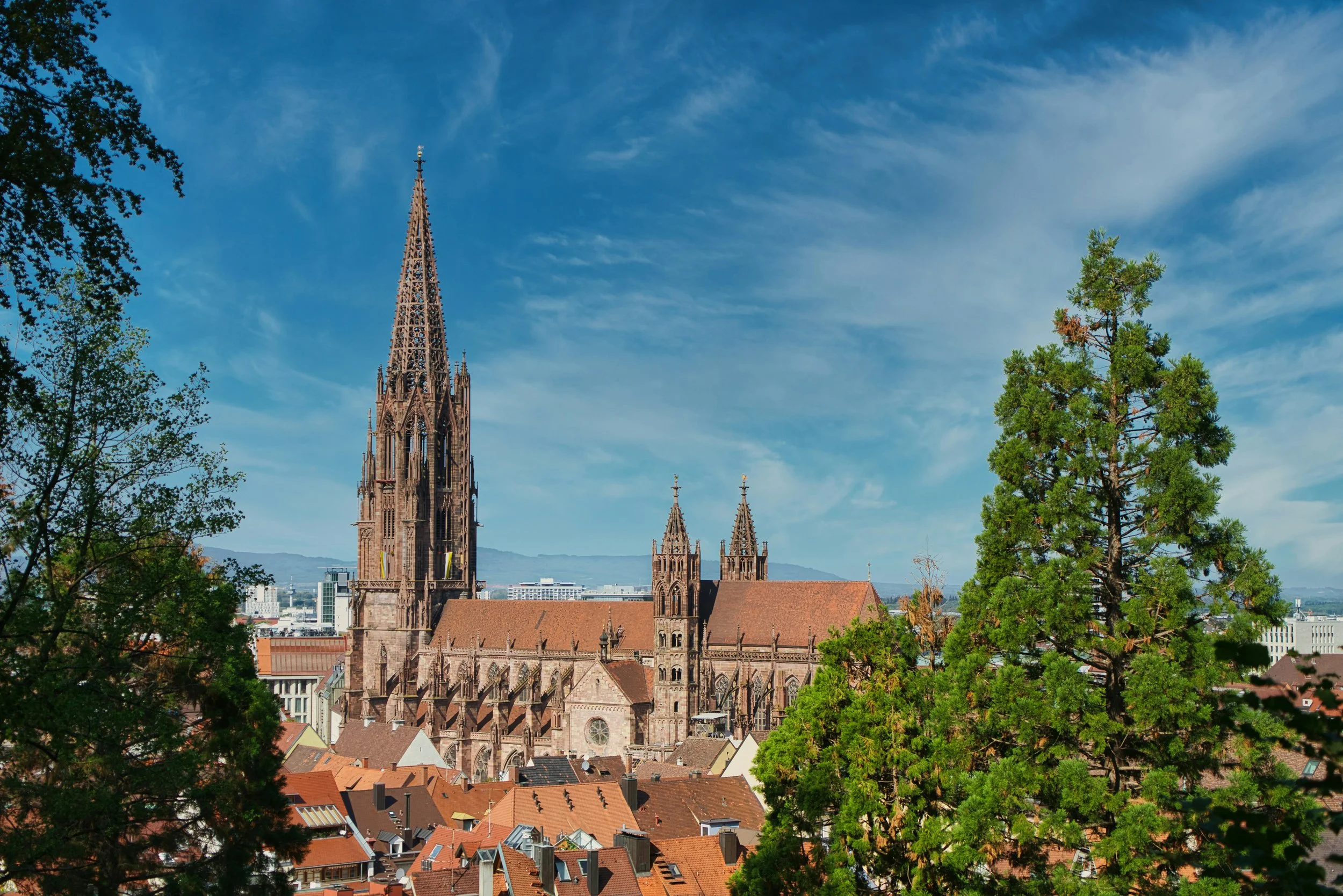Stammtisch in Freiburg 