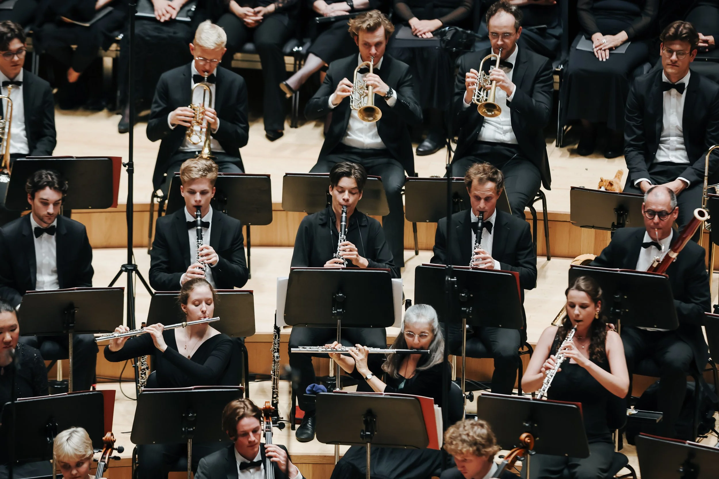 Konzert der Musikakademie in München, Rite et Rhizome