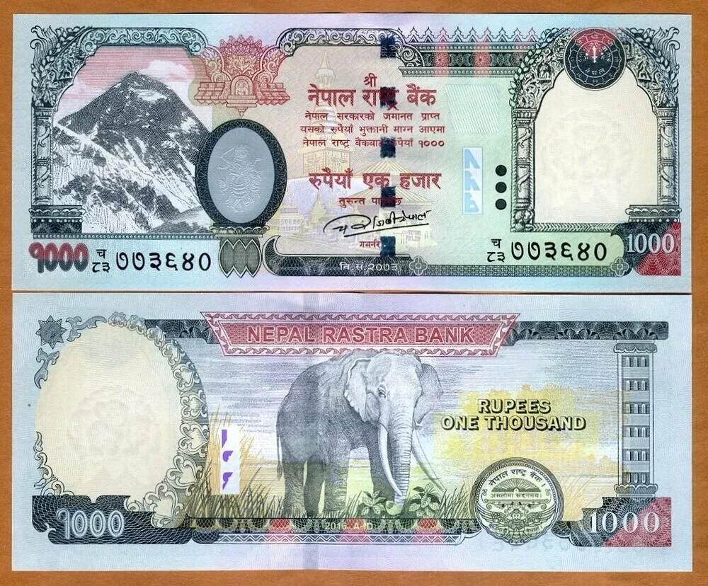 s-l1000.jpg