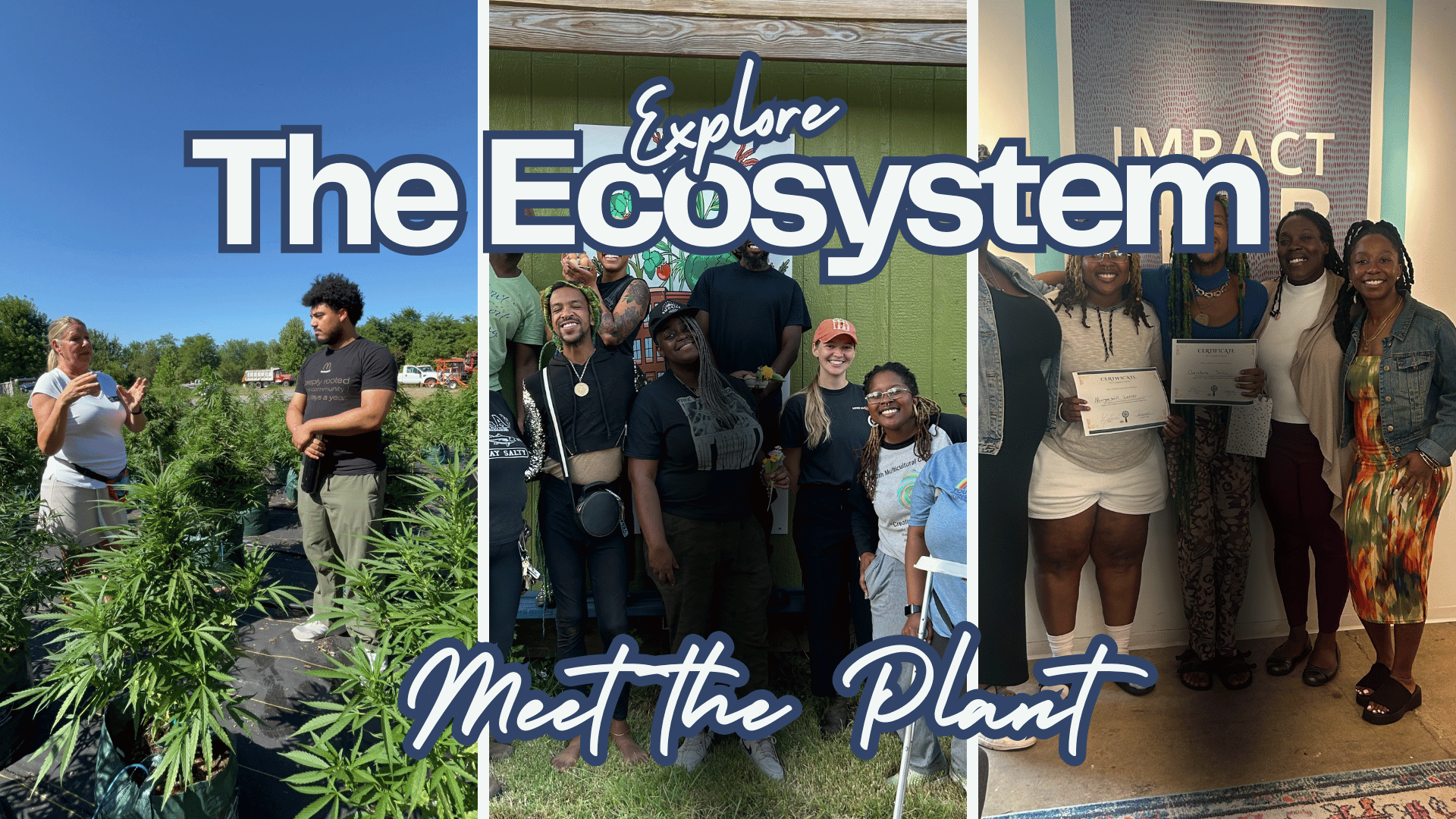 Explore The Ecosystem: Meet The Plant