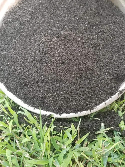 Super Poop Root 54