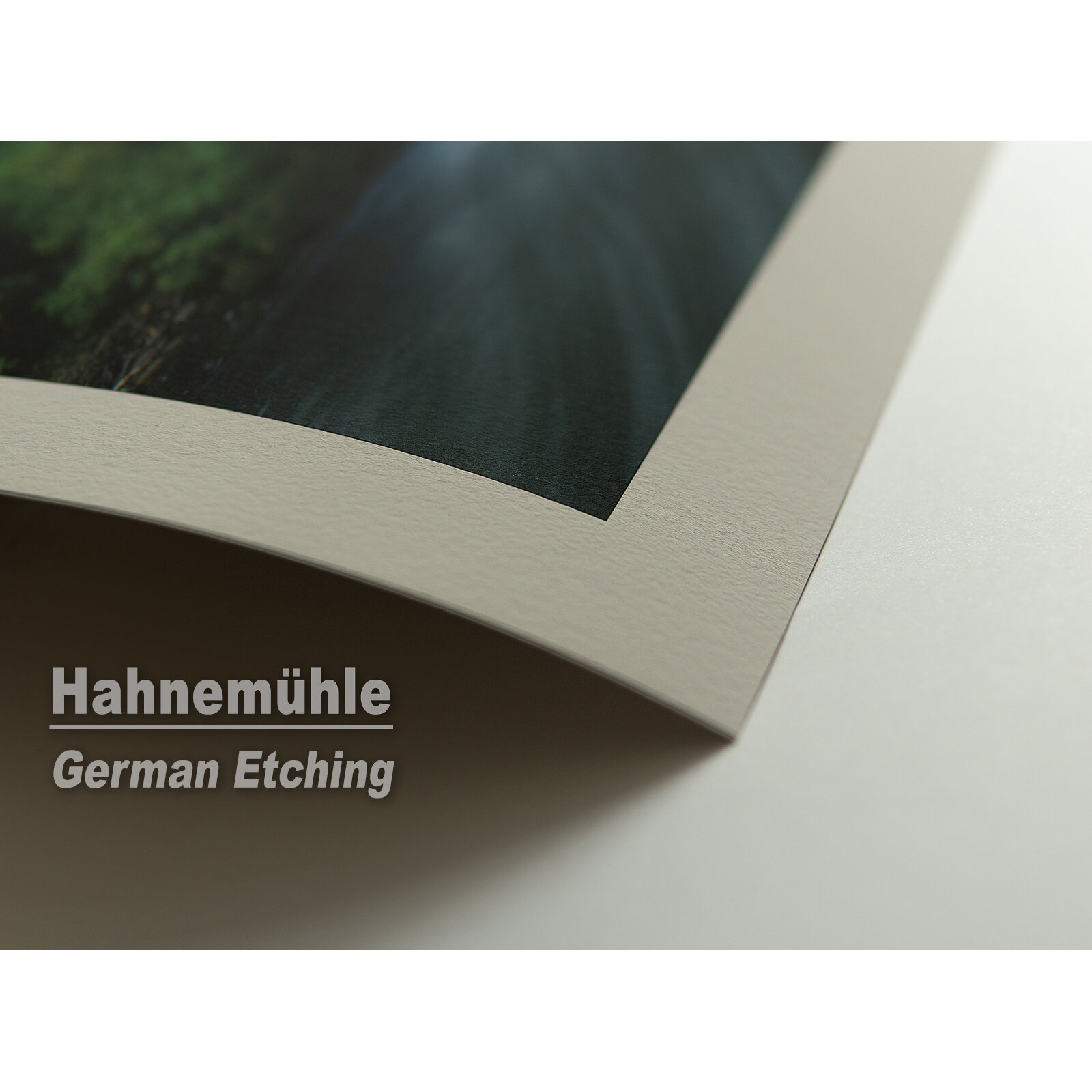 1HahnemuehleGE.jpg