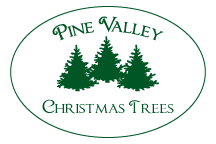 Pine Valley Christmas Trees