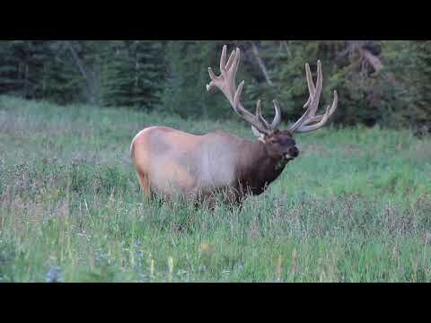 Washington State Parks RV by Media Services