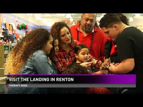 The Landing Renton - Treehouse Tuesday