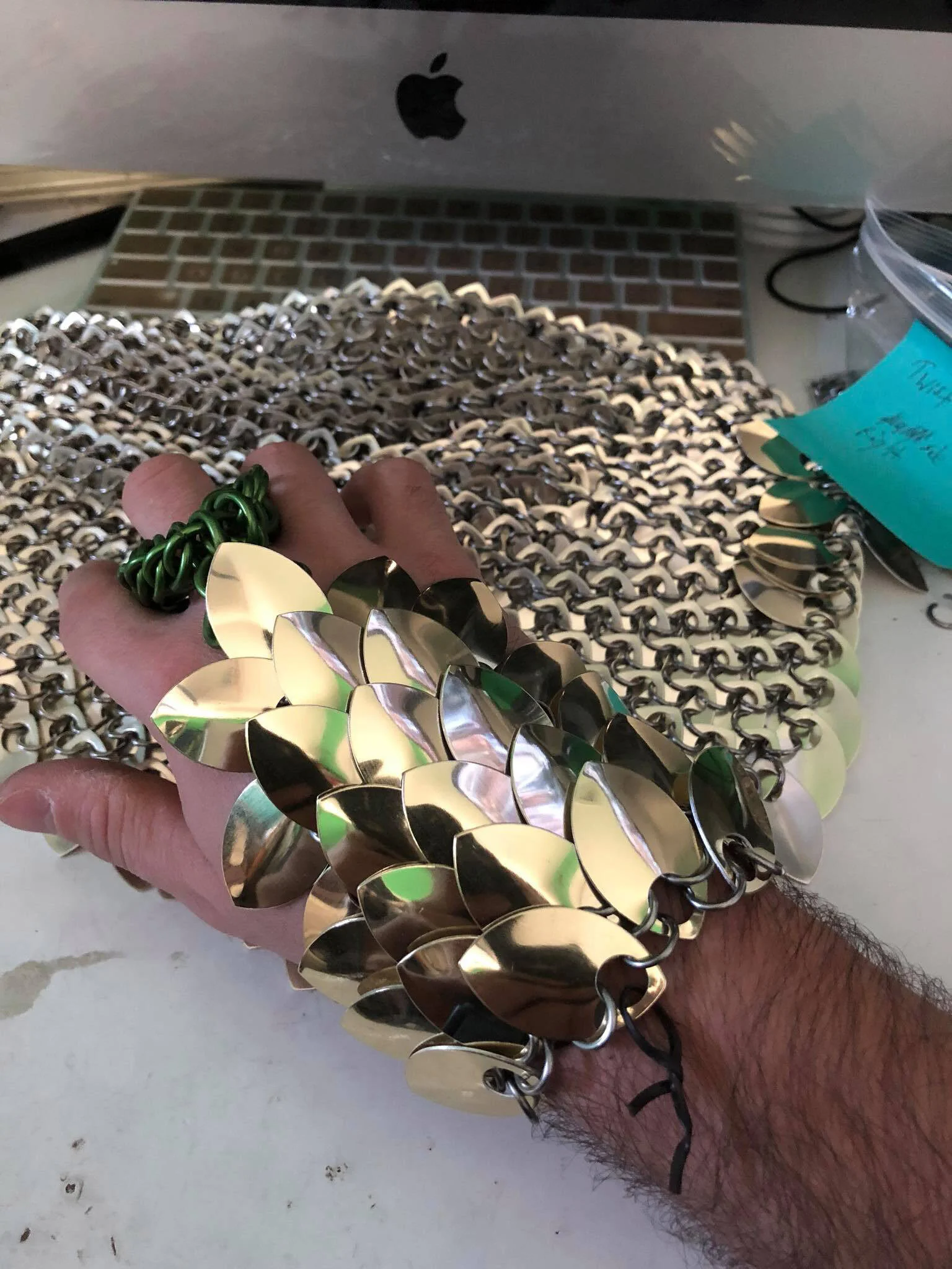 Scale Handflower