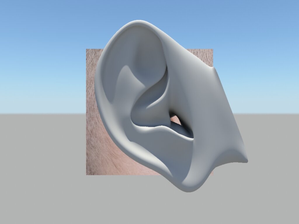 Ear