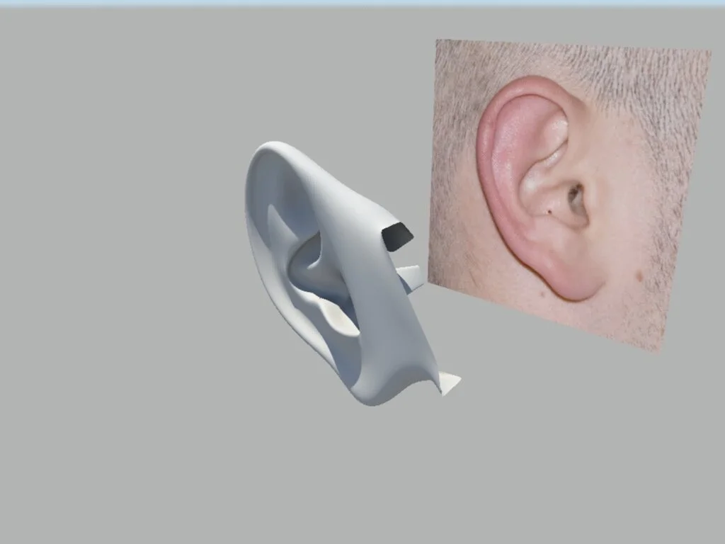 Ear2.jpeg