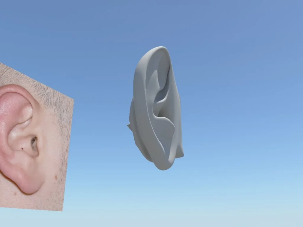 Ear3.jpeg