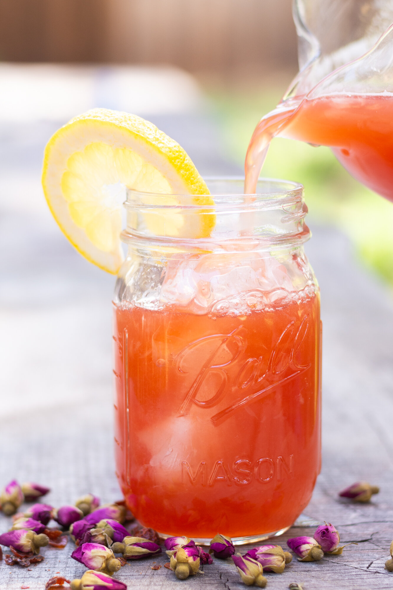 Sorensen_Shelby_Drinks-33.jpg
