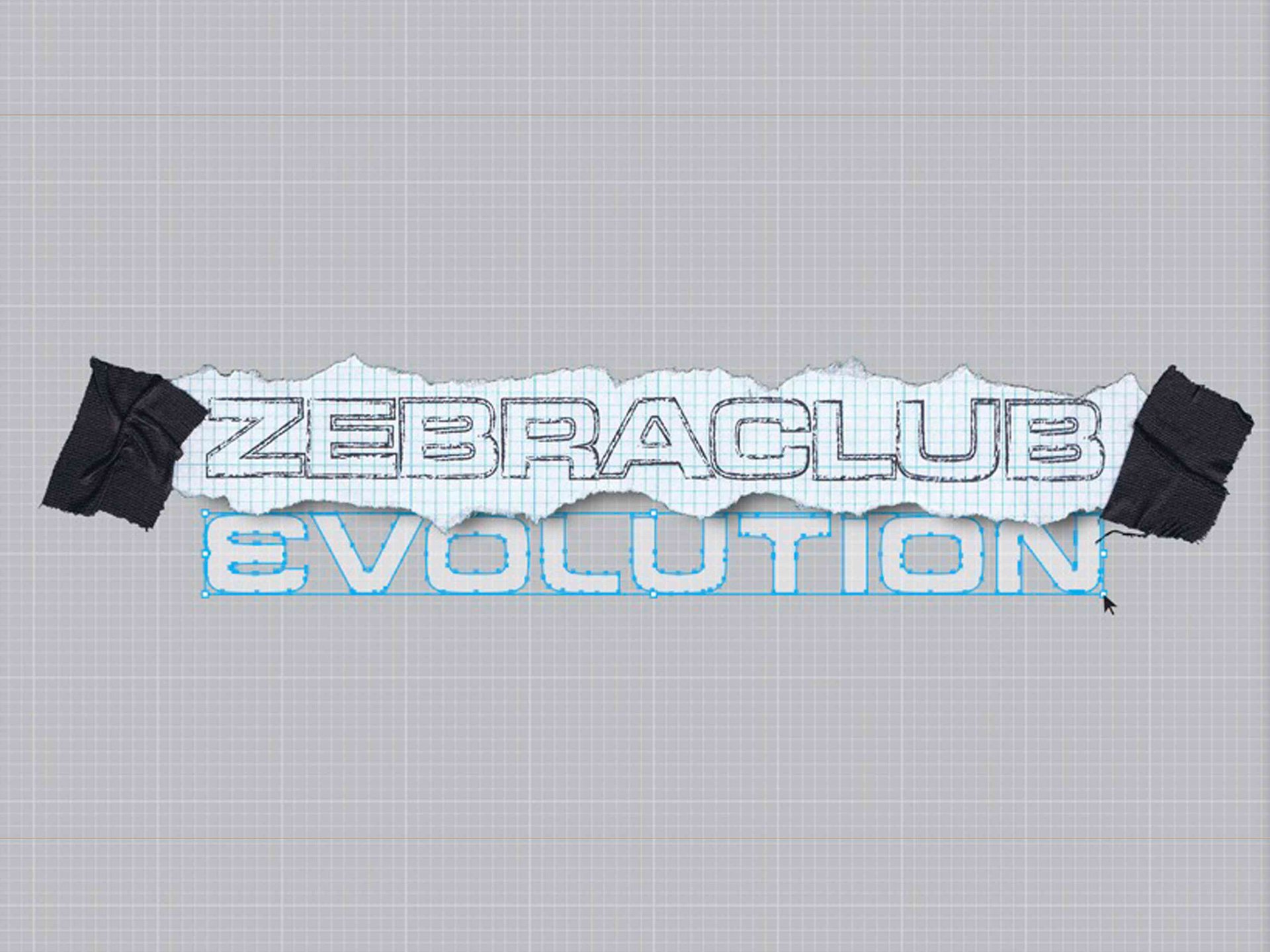 Brand Logo Re-design for Apparel Retailer Zebraclub, Seattle, WA