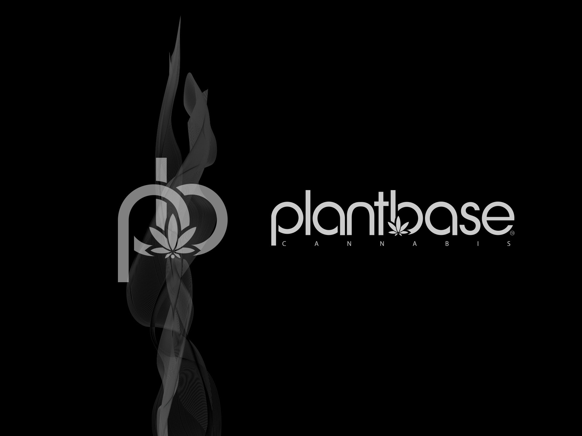 Brand Logo Trademark and Wordmark Design for Recreational Cannabis Retailer Plantbase Group, New York, NY