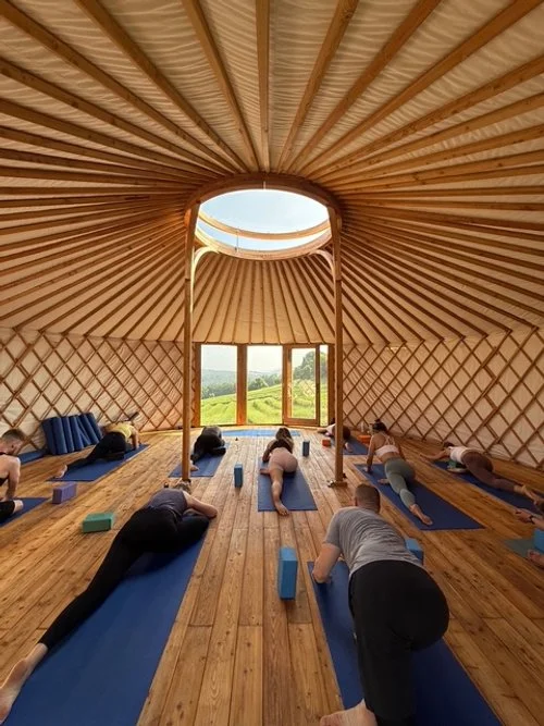 People participating in a yoga class inside a wooden dome-shaped structure with a large window showing a scenic outdoor view.