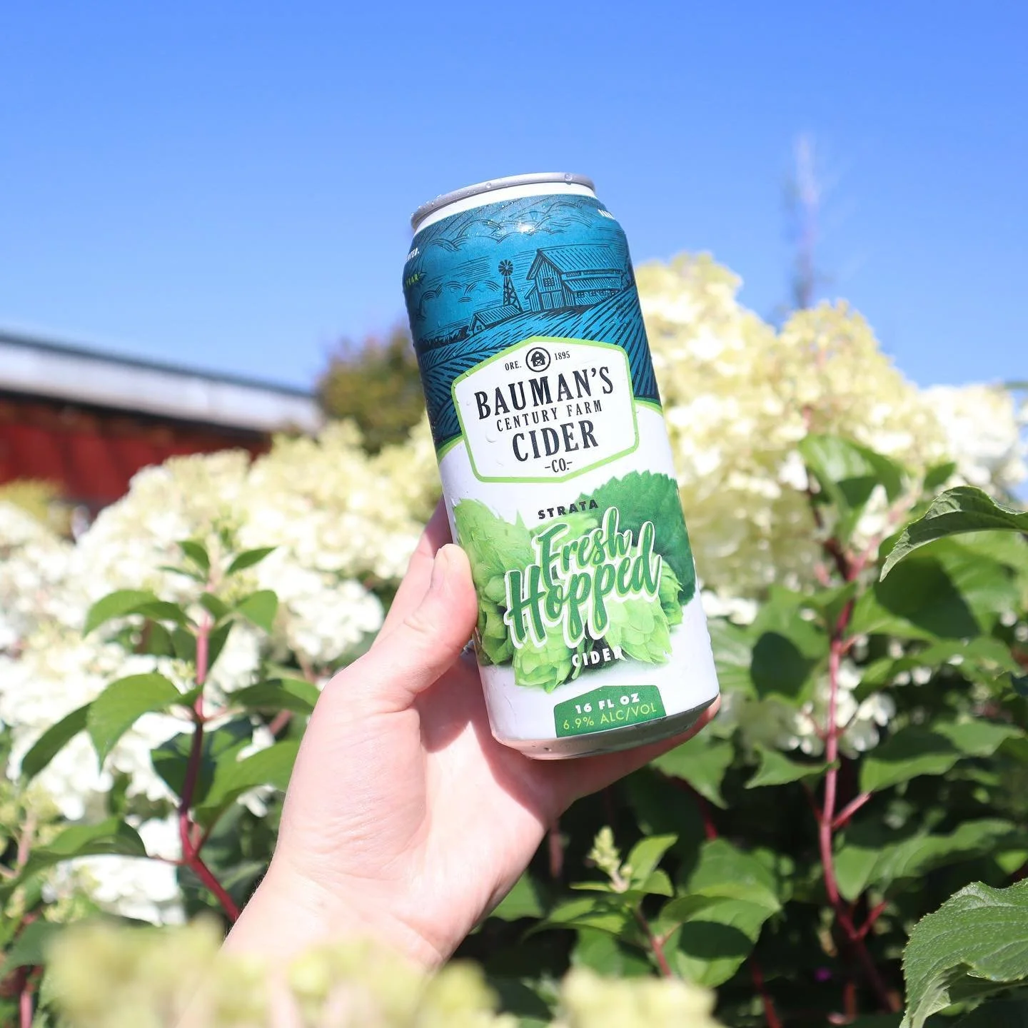 Bauman’s Cider releases BarrelAged Estate Heirloom Cider + Strata