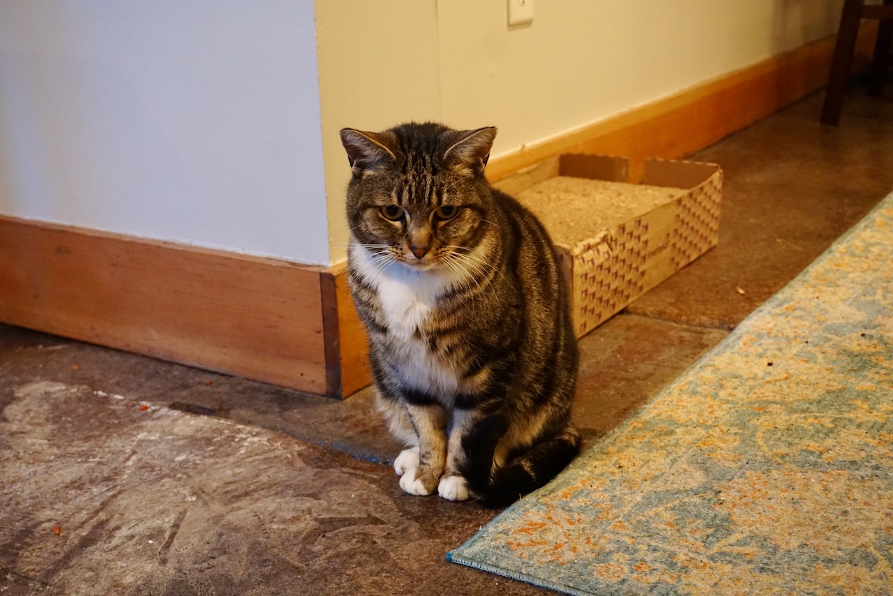 Spinning Wheels Brewing Project, Hood River’s secretive basement