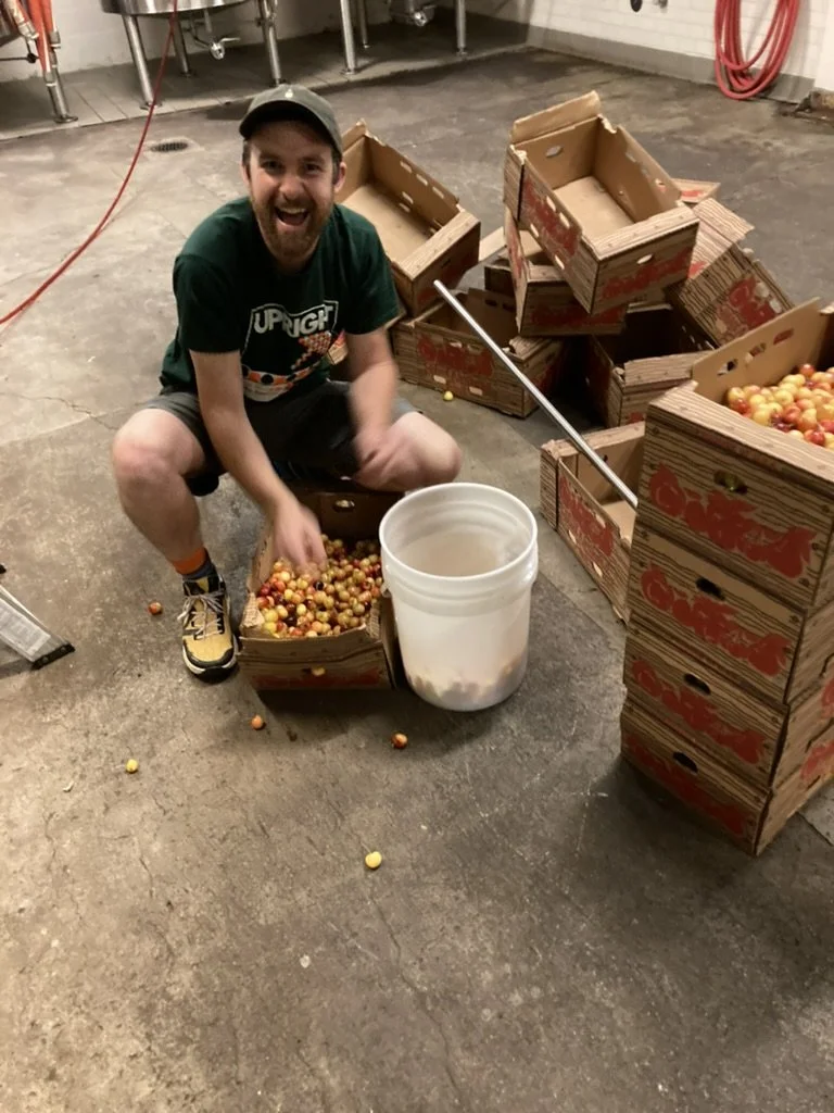 neil excited about rainier cherries.jpeg