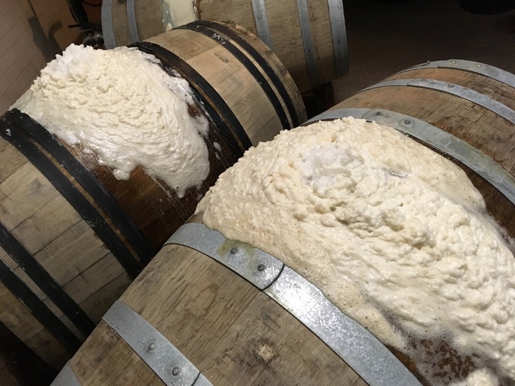barrel fermentation.jpeg