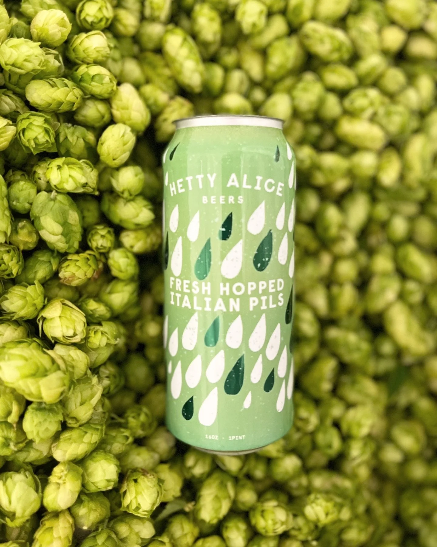 Hetty Alice Fresh Hop Italian Pilsner.jpg