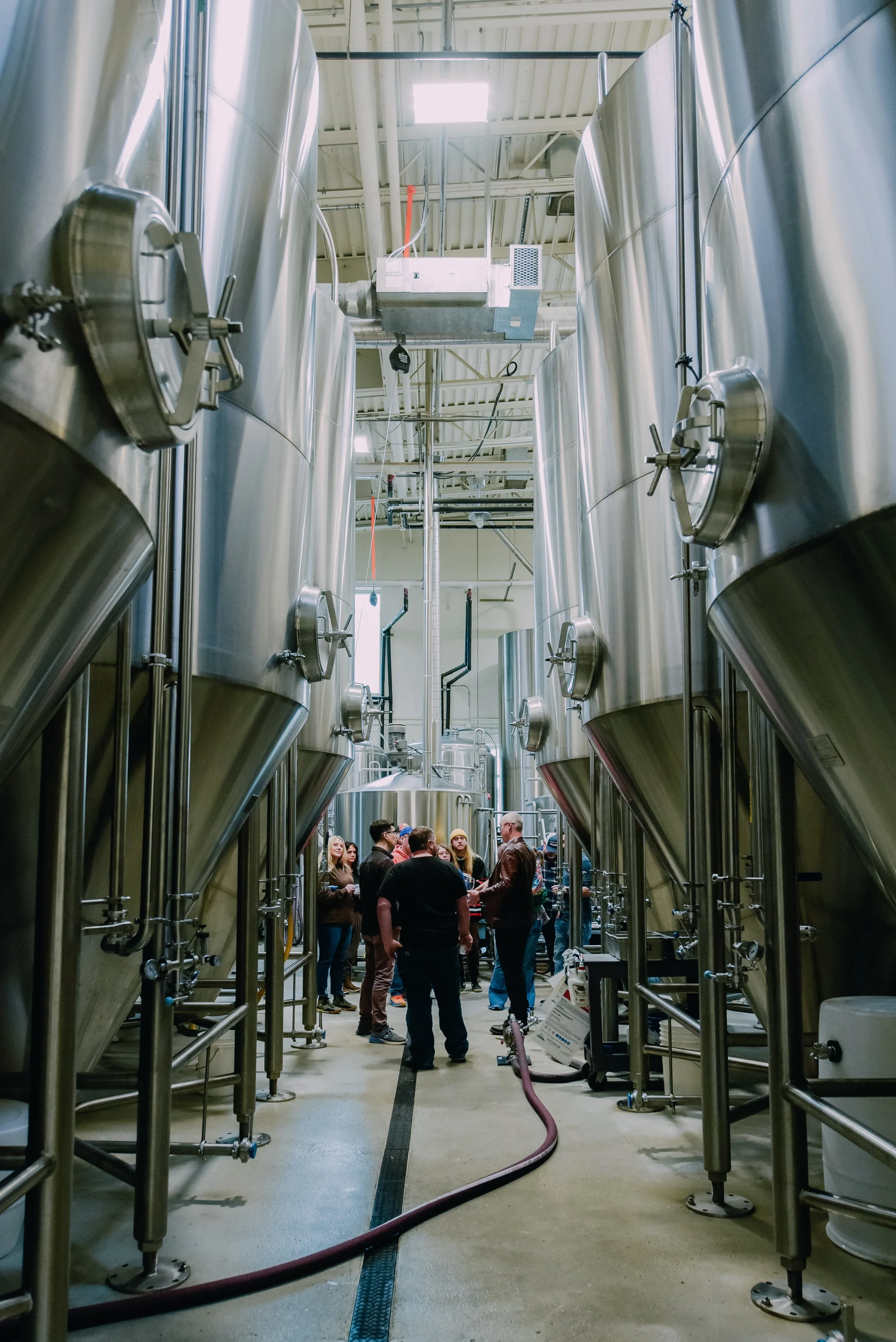 2025_images_Zwickelmania-pFriem Hood River17.jpg