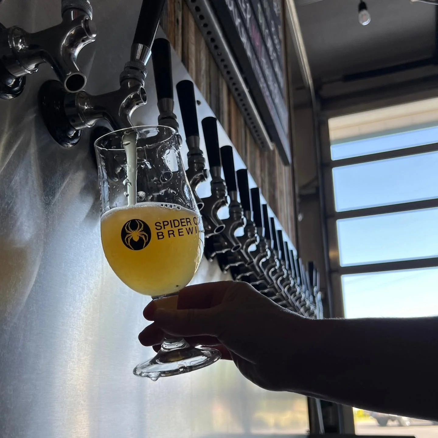 Spider City Brewing closing.jpg