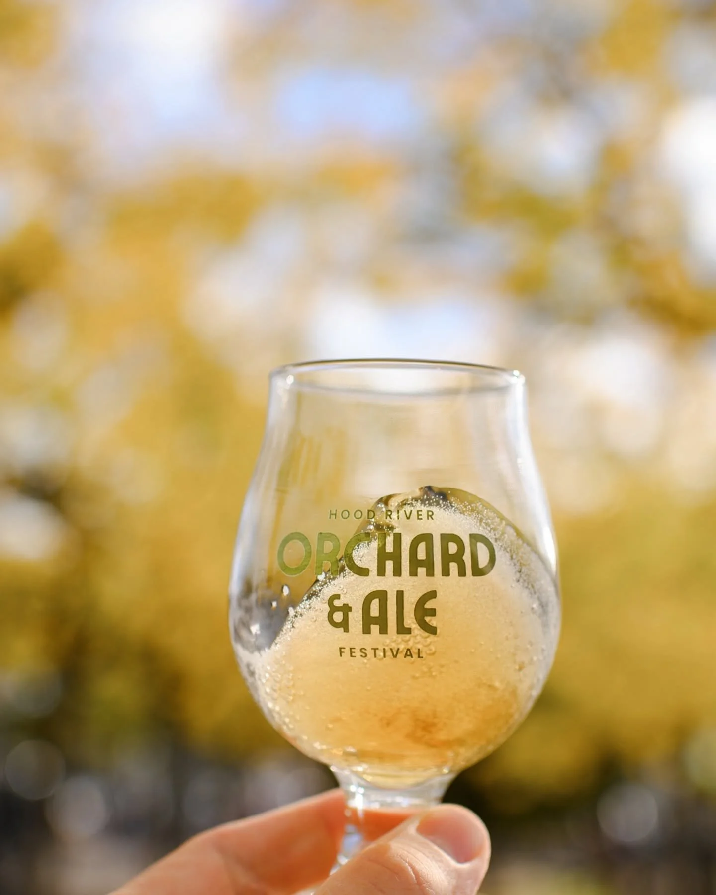 Catch a ride to Hood River Fall Festivals, Breweries, Cideries, &amp; Wineries in the Gorge