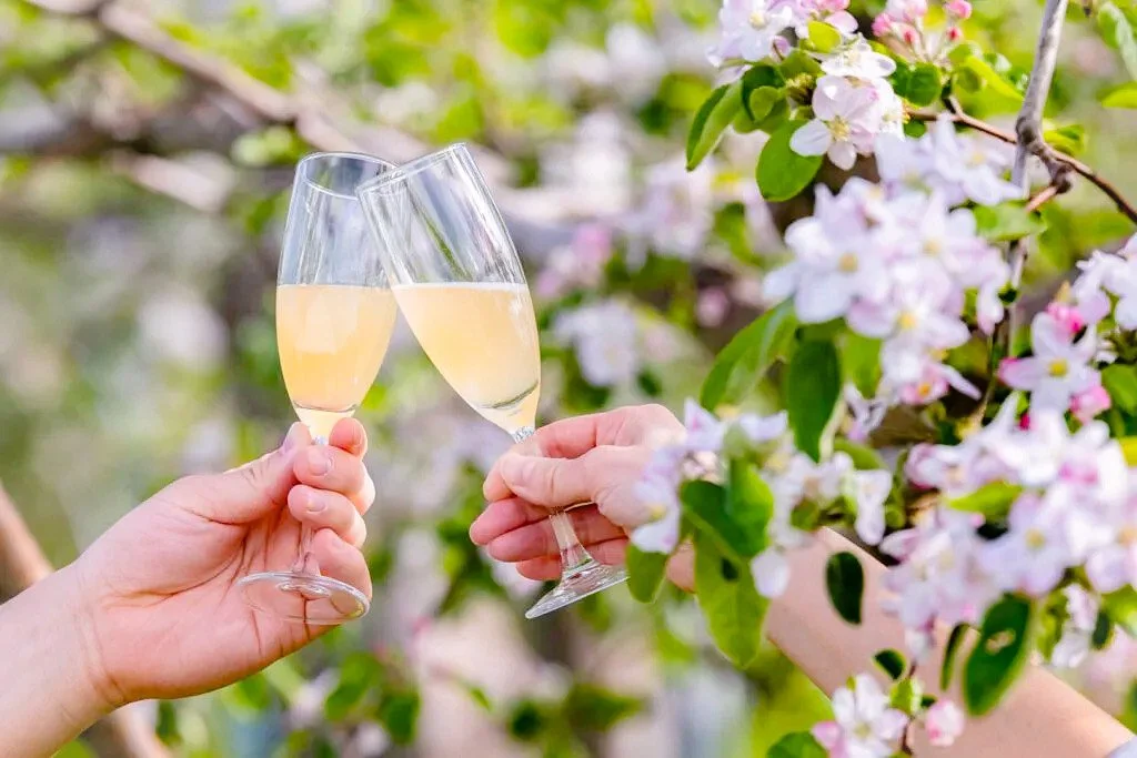 Spring-Summer 2026 Cider News