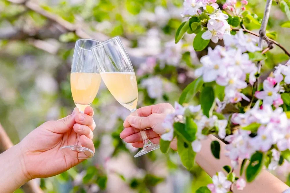 Spring-Summer 2026 Cider News