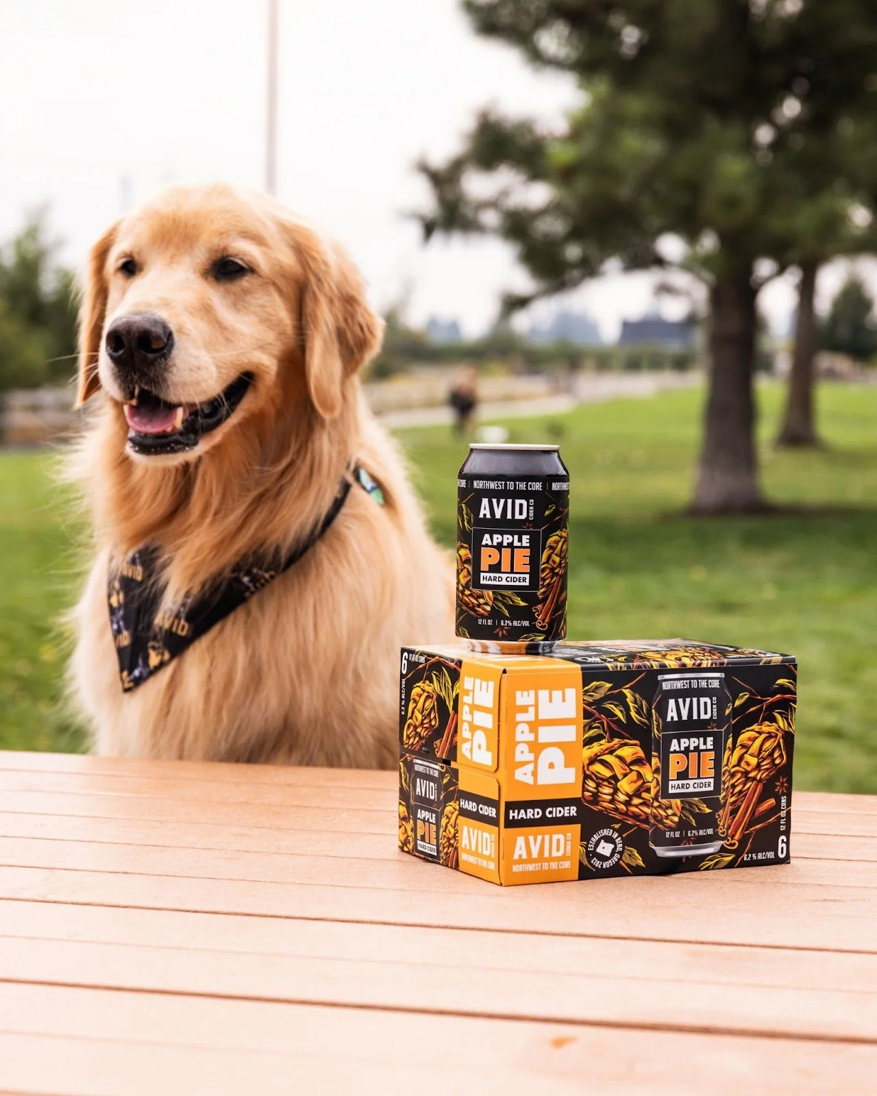 Winter and Fall Seasonal Ciders to Spice Up the Holidays — New School ...