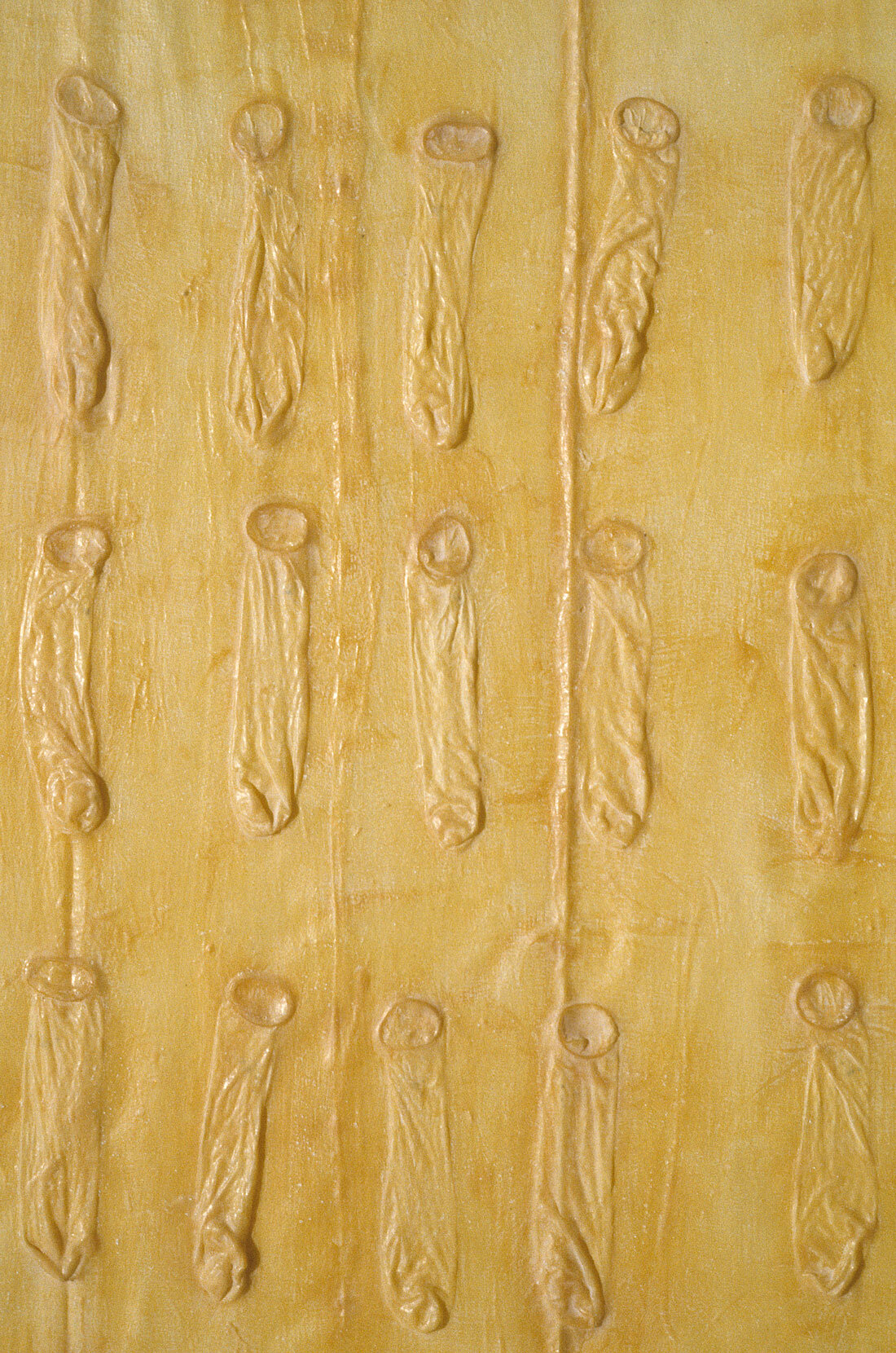   Condom Relief Piece No. 1  (detail), 1971, rubber latex, condoms, cheesecloth, 82 x 64 inches 