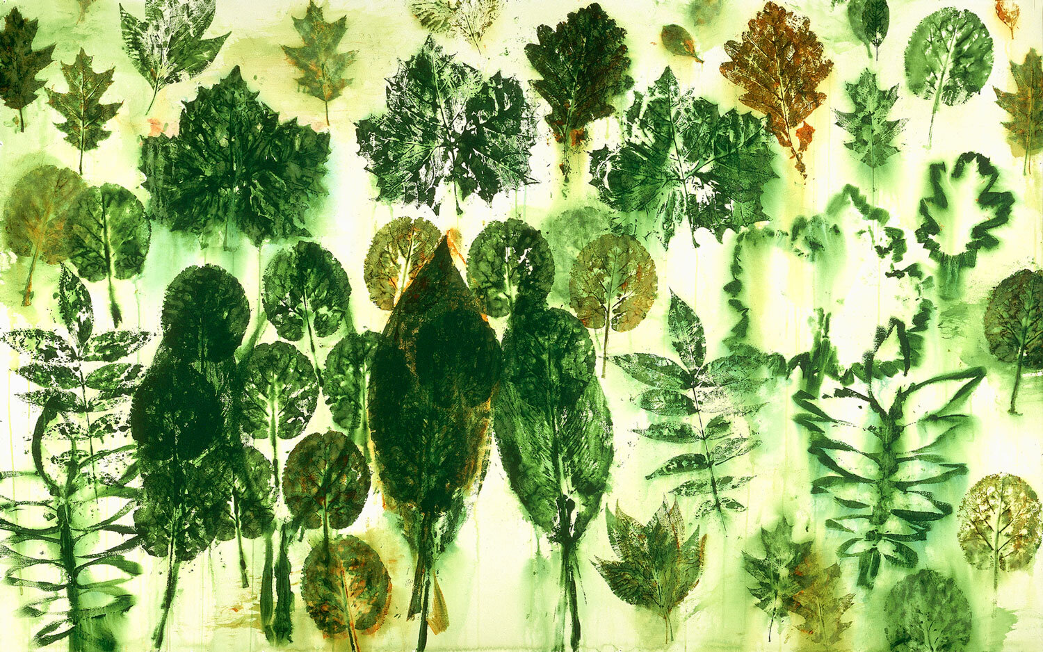   Garden  (detail), 1998-99, wall installation, acrylic on paper, 106 x 163 inches 