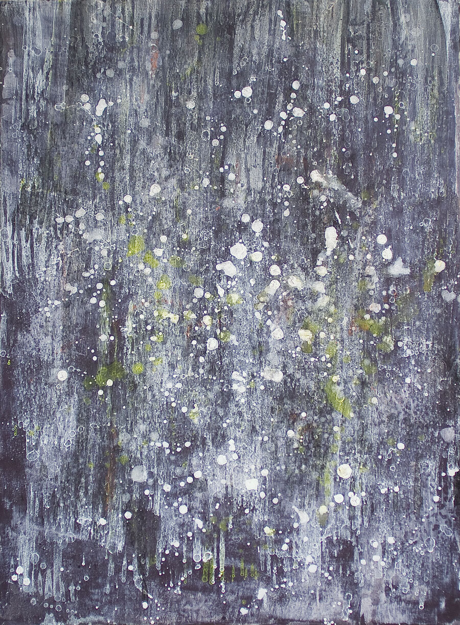   Wet Snow , 2009, acrylic on canvas, 30 x 22 inches  
