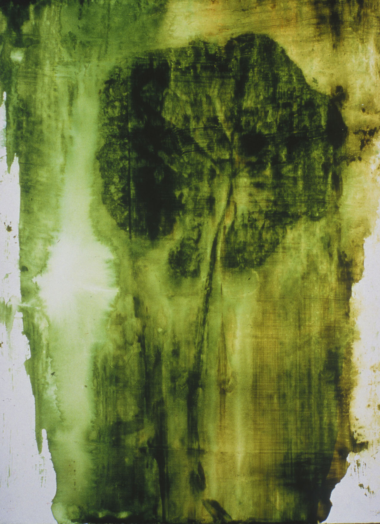  Liquid Green — Nasturtium , 2001, acrylic on panel,  12 x 9 inches 