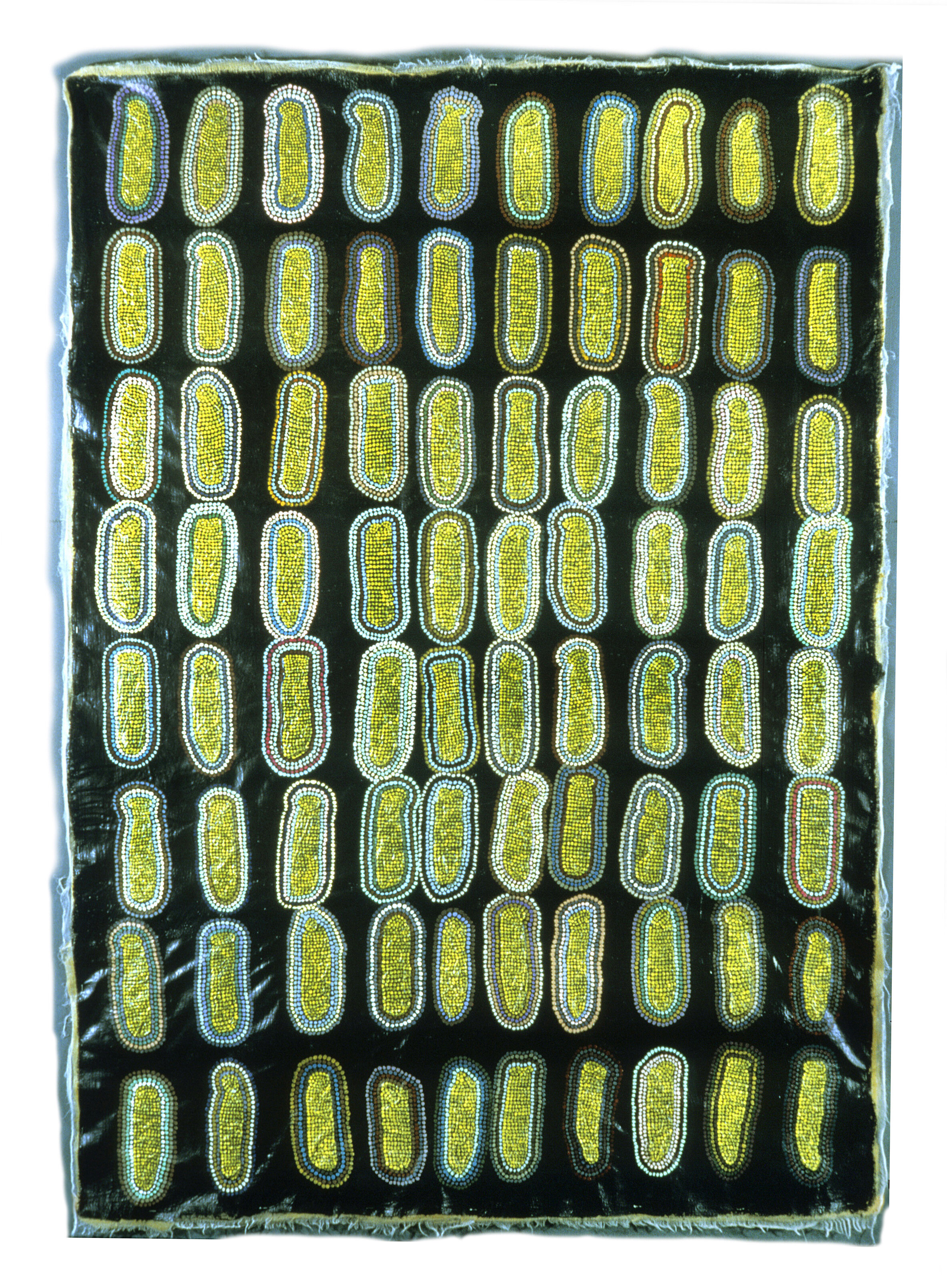  Haloed Condom Relief Piece, 1972, acrylic, rubber latex, neoprene, gauze, condoms, 83 1/2 x 60 inches   