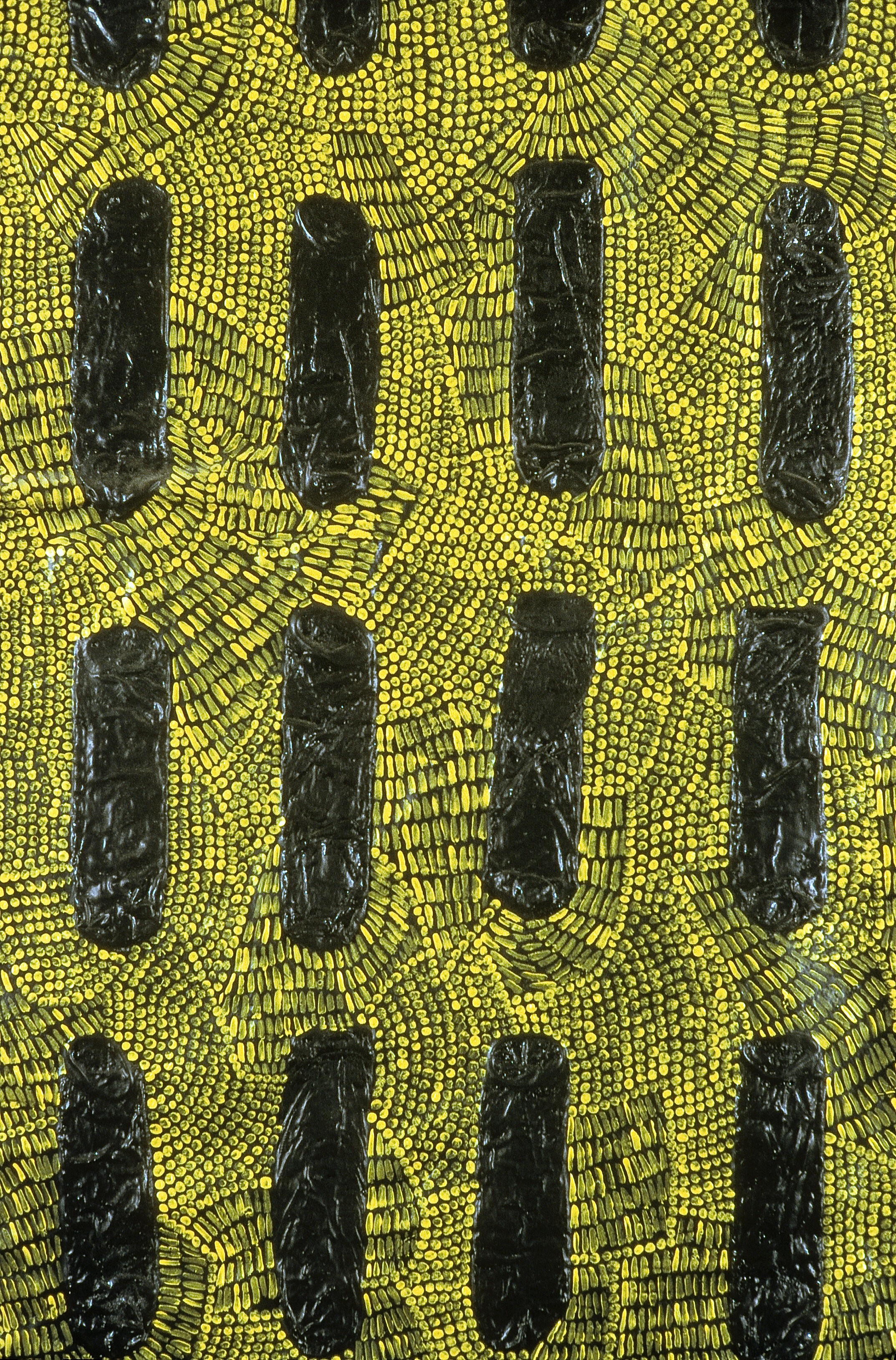   Yellow Condom Relief Piece  (Detail), 1971, gacoflex, condoms, cheesecloth, acrylic, neoprene rubber, rubber latex, 75 1/2 x 61 inches   