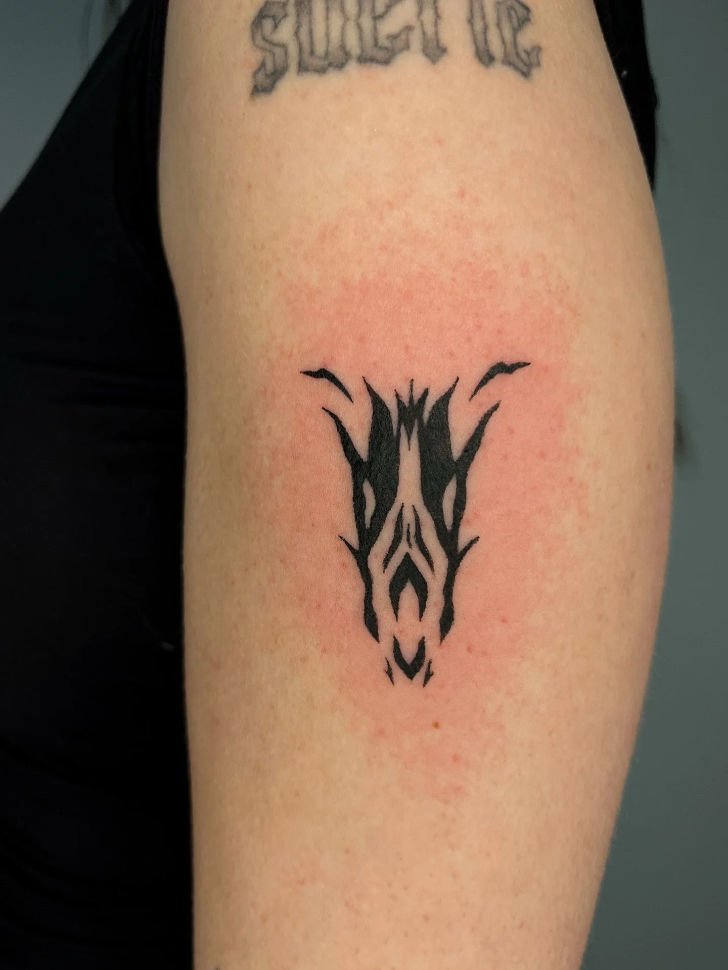 For the late Cleo, a cat who was so dearly loved by Alannah 🖤 Forever honoured to do pet tattoos!

#pettattoo #petportrait #torontotattooartist #cattattoo