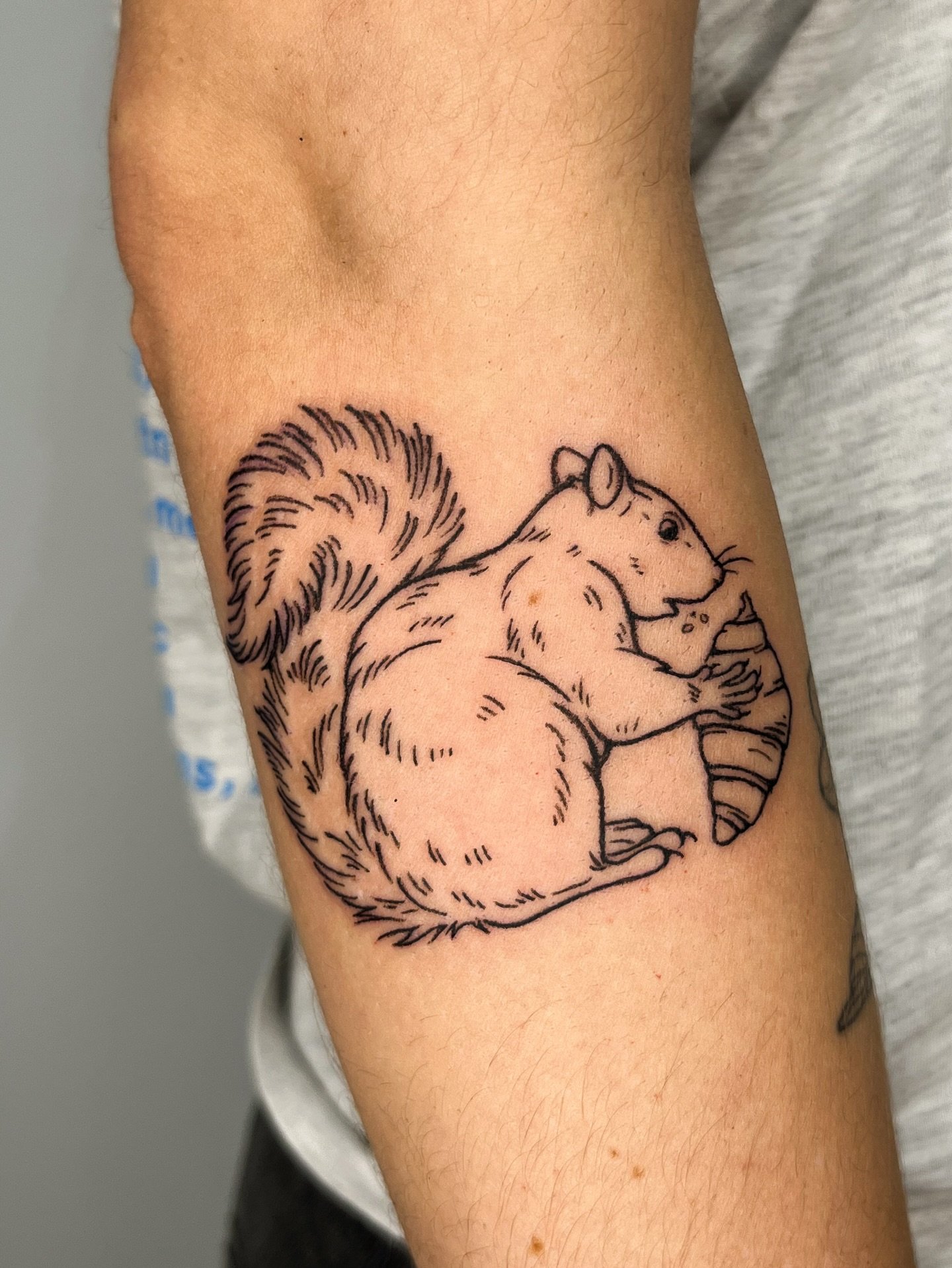 A snacky squirrel - ty Natasha! 🥐🐿️ I&rsquo;m slowly but surely working on new flash&hellip;truthfully it&rsquo;s been challenging getting my creative brain excited lately amidst the gloom of winter, and in a greater sense, the state of the world. 