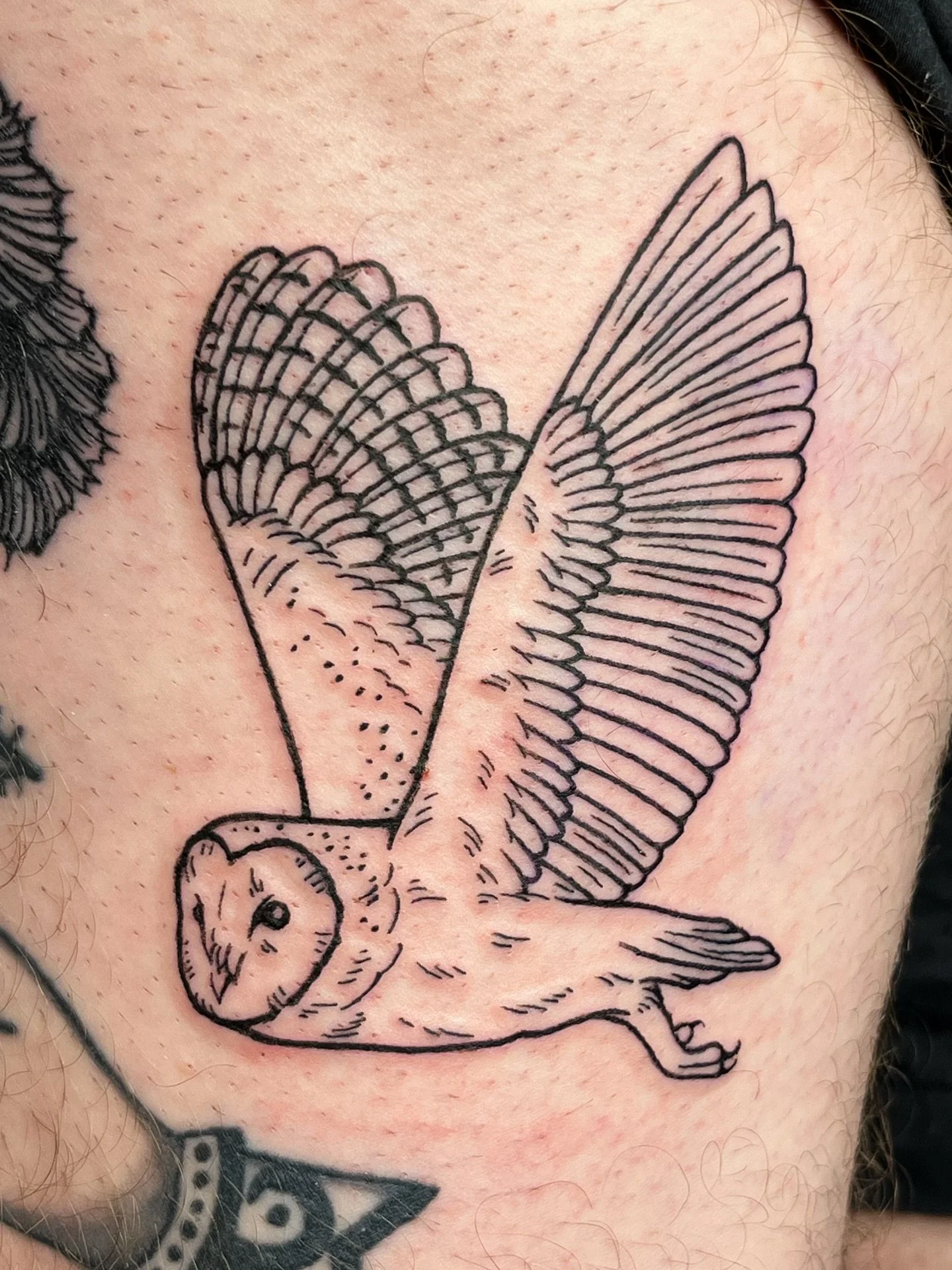 More birds in 2026! More animals! More leg tattoos!! MORE TATTOOS PERIOD 🙂&zwj;↕️👏 Now booking Feb/March, email me to talk about your tattoo dreams + desires.

#torontotattoo #torontotattooartist #femaletattooartist #birdtattoos #owltattoo #linewor
