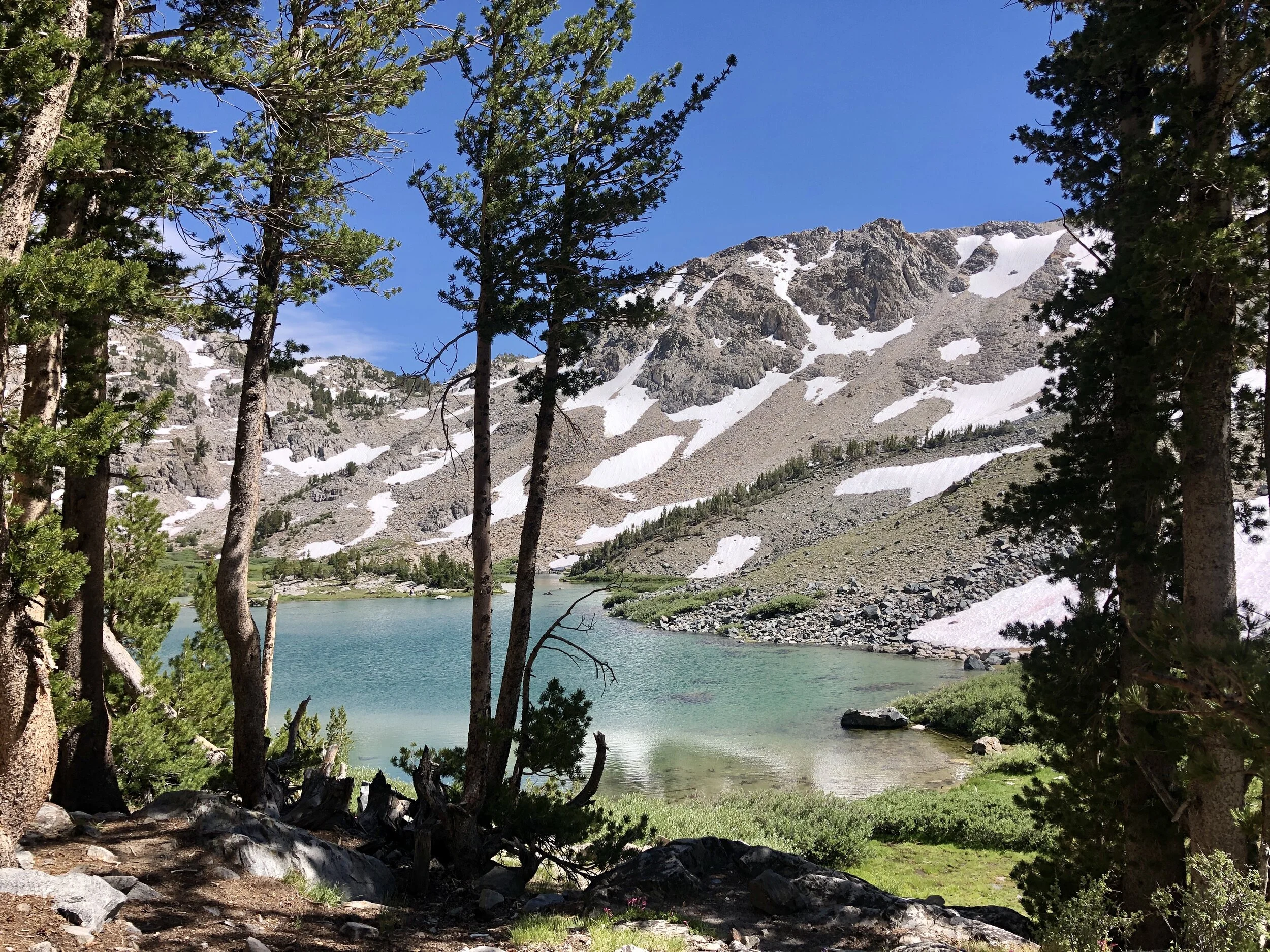 Mammoth, CA