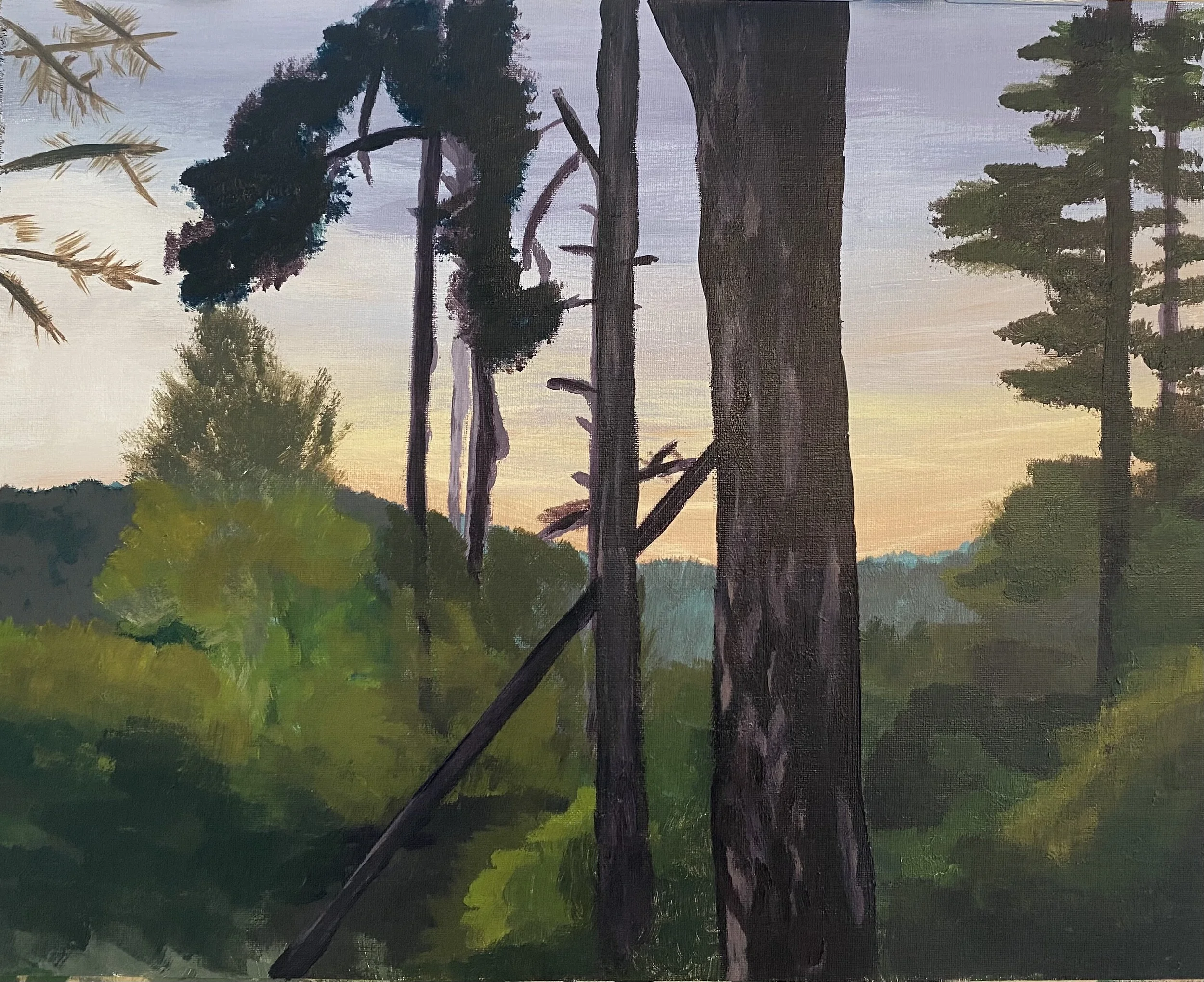 View Through the Trees