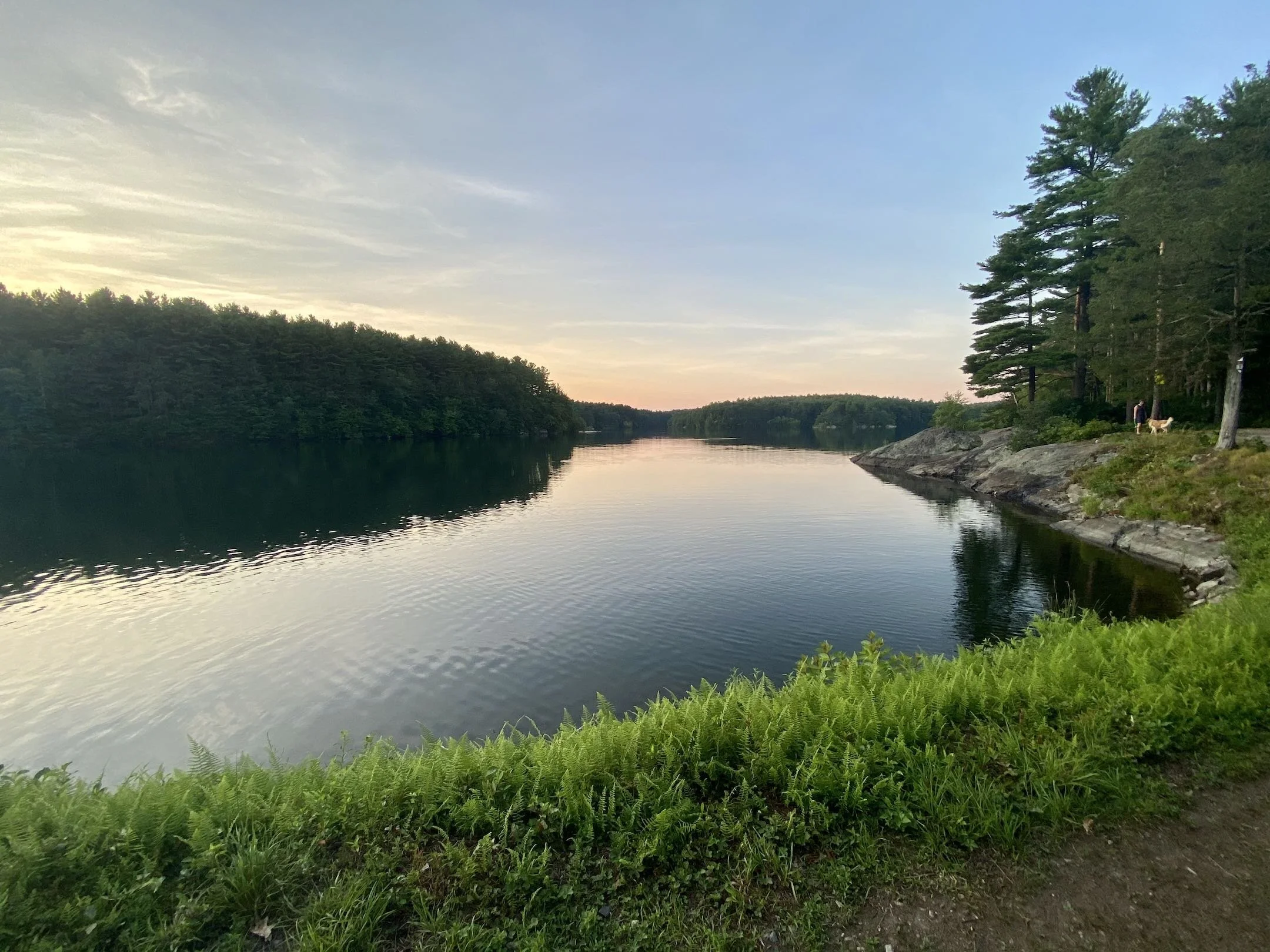 Mystic Fells Reservation, Medford MA