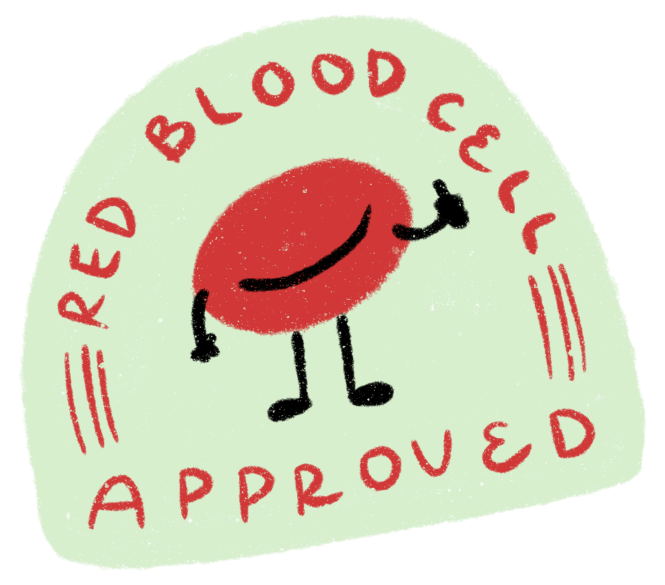 red blood cell approved.png