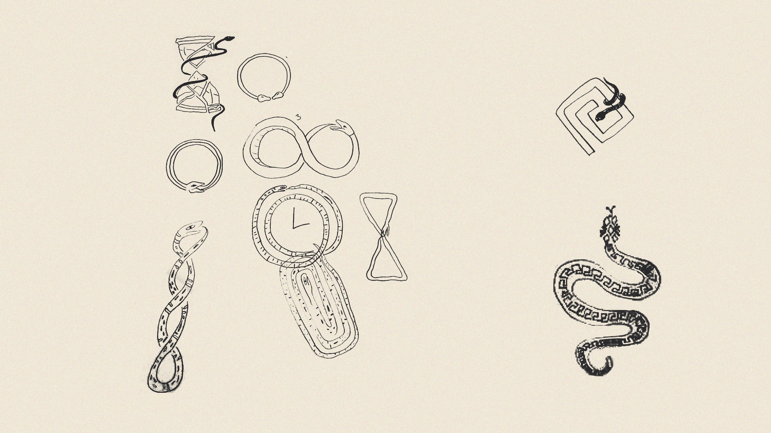 snake-10.jpg